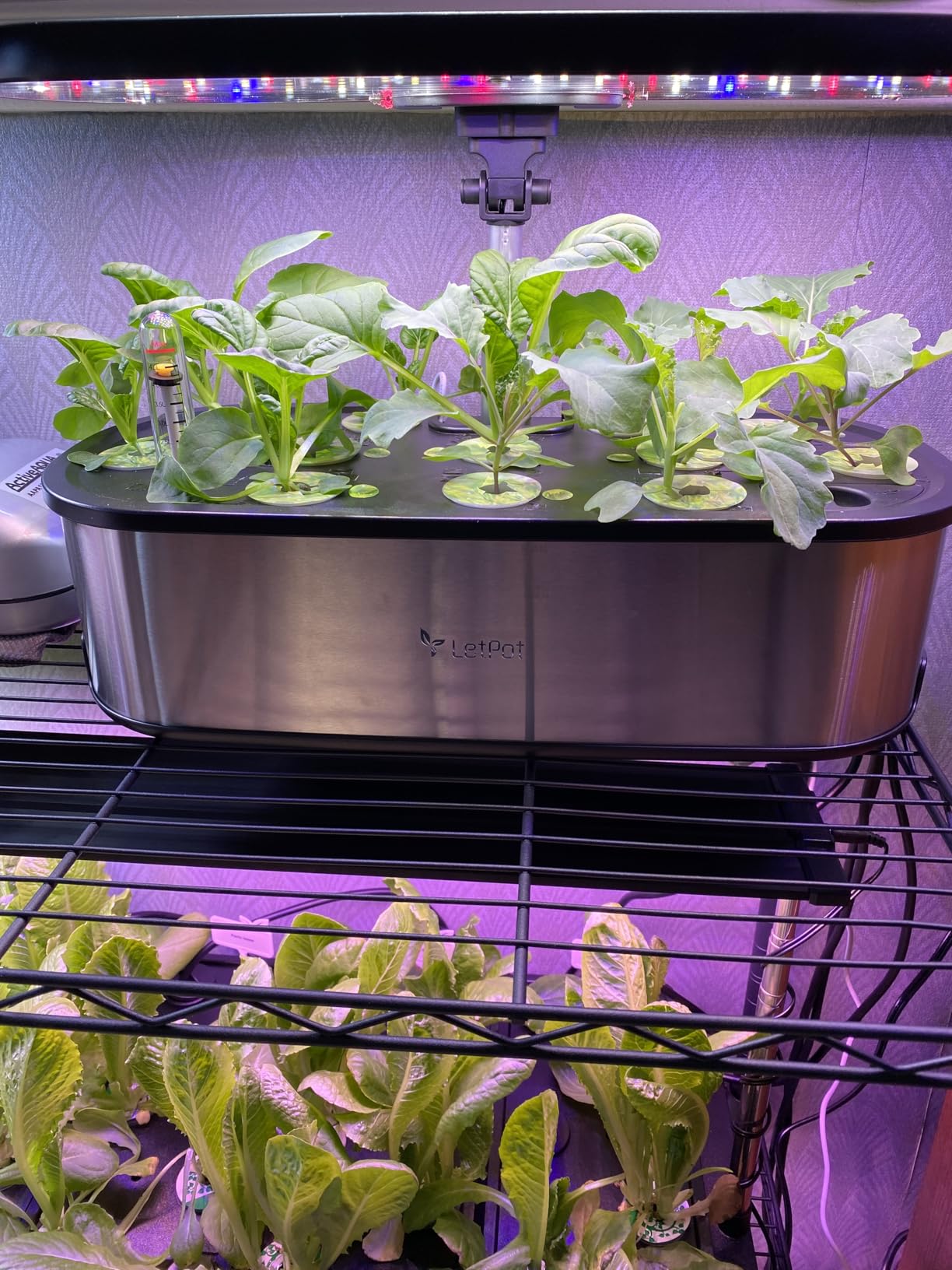 LetPot LPH-SE Hydroponics Growing System, 12 Pods Smart Herb Garden Kit Indoor, APP & WiFi Controlled, with 24W Growing LED, 5.5L Water Tank customer photo 2