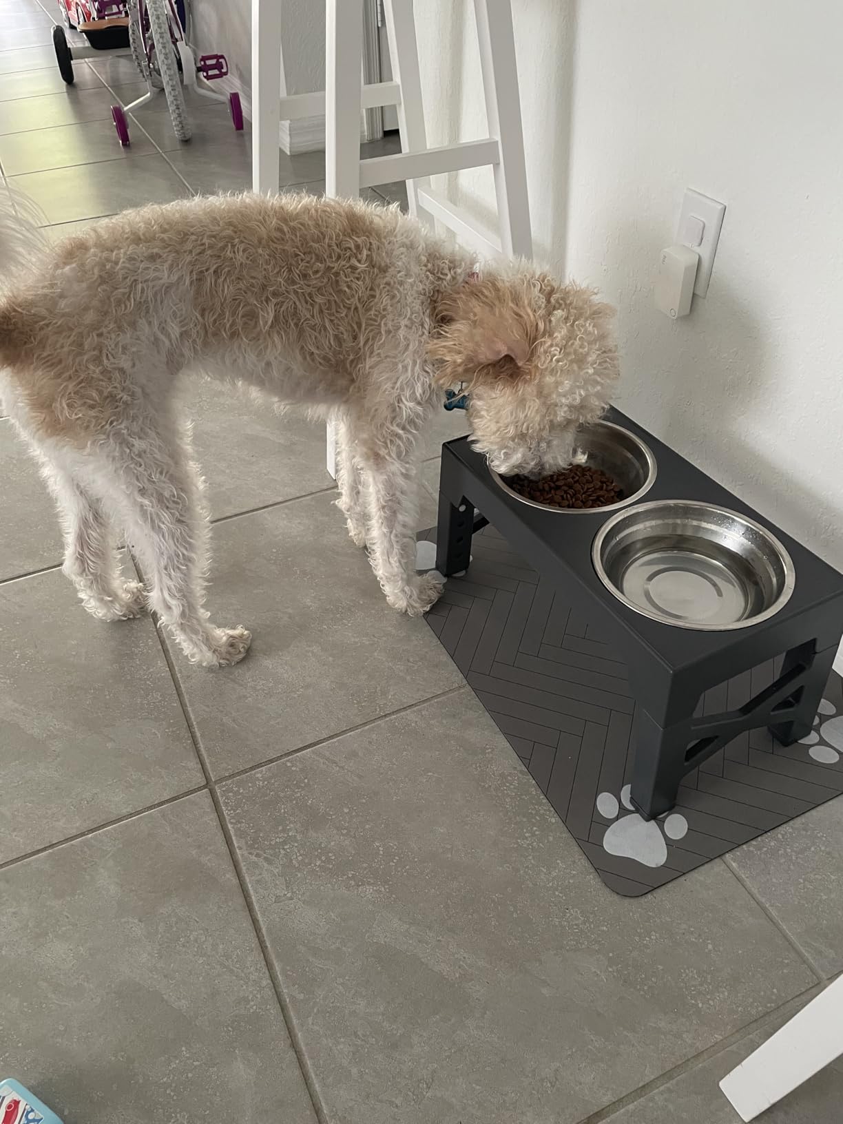 Niubya Elevated Dog Bowls with 2 Stainless Steel Dog Food Bowls, Raised Dog Bowl Adjusts to 5 Heights customer photo 2
