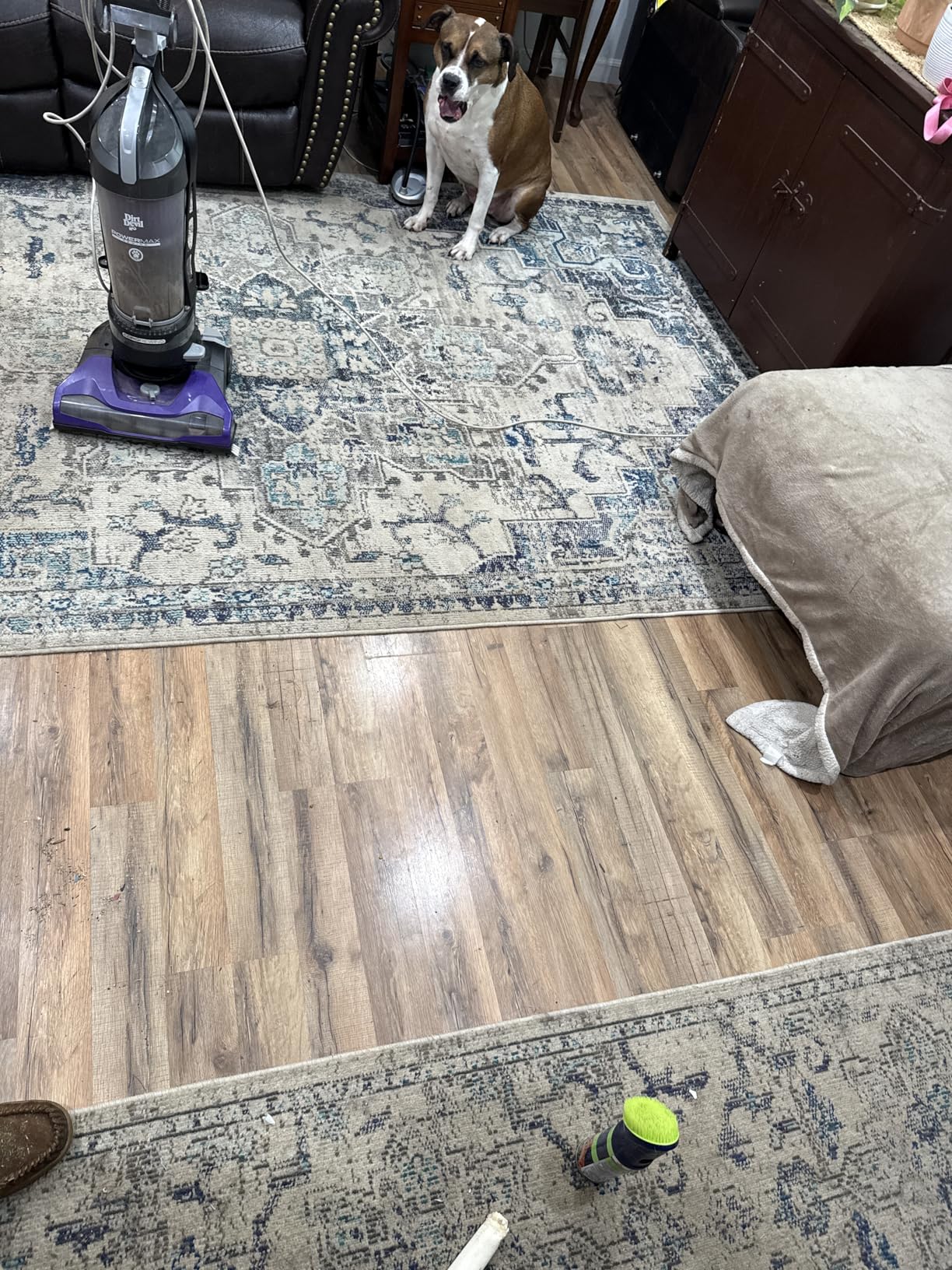 BISSELL Spotlifter Pet Carpet and Upholstery Cleaner with Brush Head - 4 Pack, 93523 customer photo 1