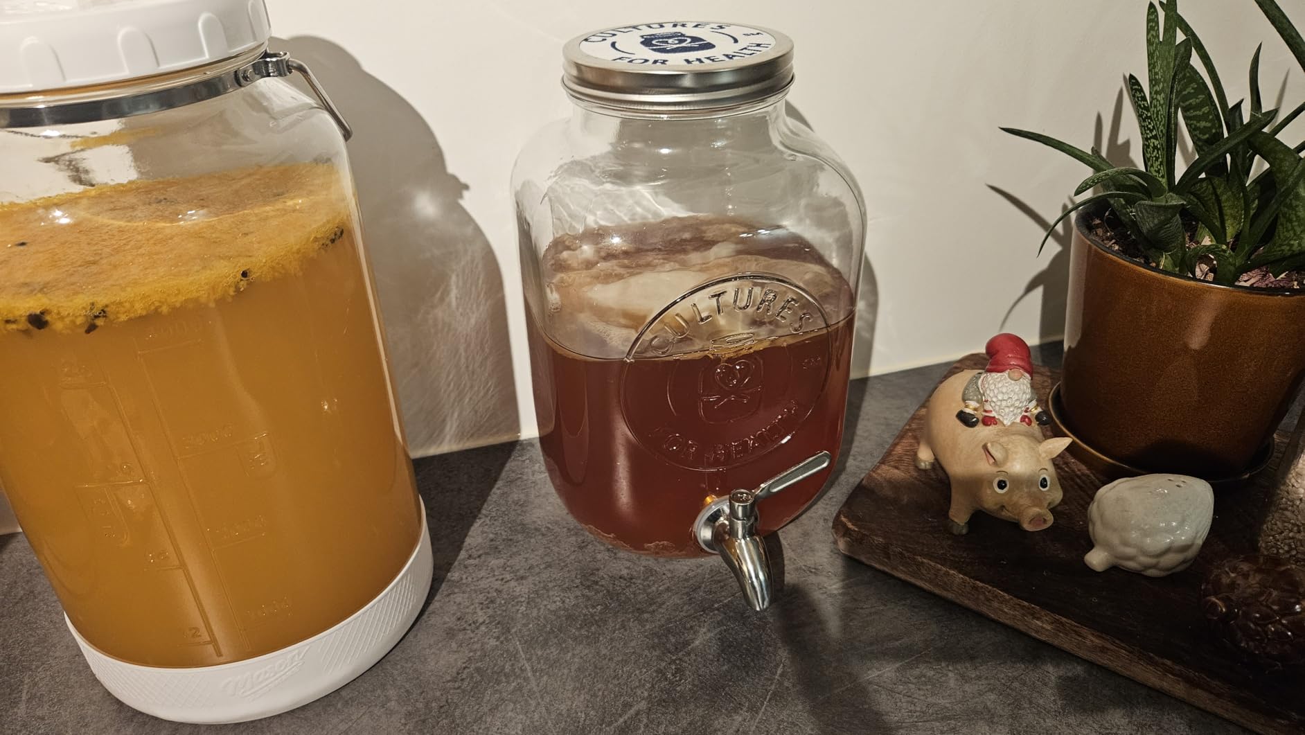 Cultures for Health Continuous Kombucha Brewing Jar with Spigot | 5 Liter Glass Jar with Spout for DIY Fermentation | Long Term Kombucha SCOBY Hotel Jar customer photo 1