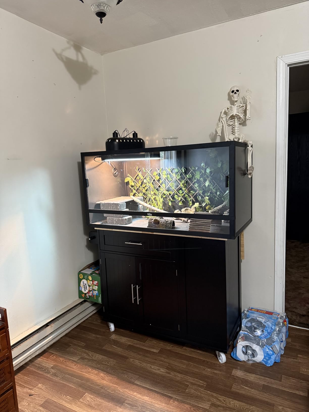 Reptile Habitats 4x2x2 (120 Gallon) Bearded Dragon Enclosure V3 PVC Panels, Glass Doors, Lightweight, Easy to Assemble, Heavy Duty Screen, Aluminum Frame customer photo 1