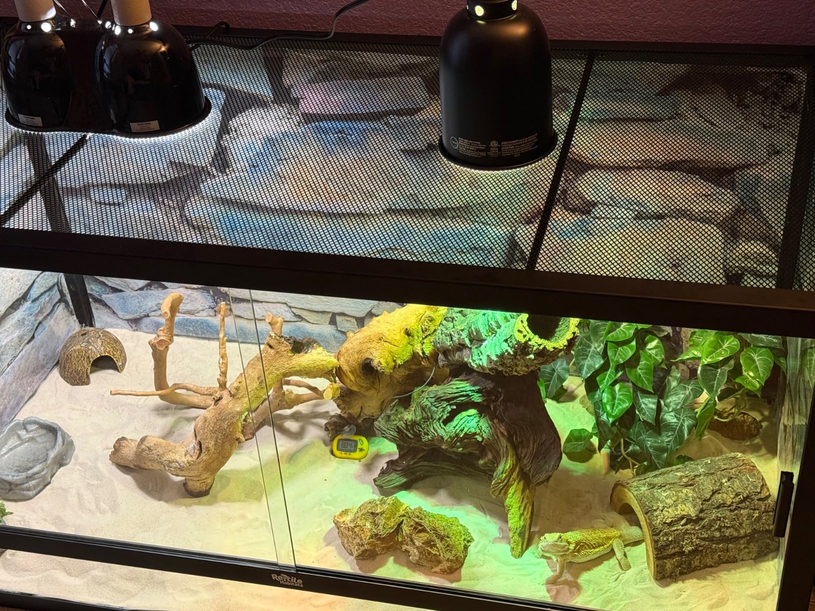 Reptile Habitats 4x2x2 (120 Gallon) Bearded Dragon Enclosure V3 PVC Panels, Glass Doors, Lightweight, Easy to Assemble, Heavy Duty Screen, Aluminum Frame customer photo 2