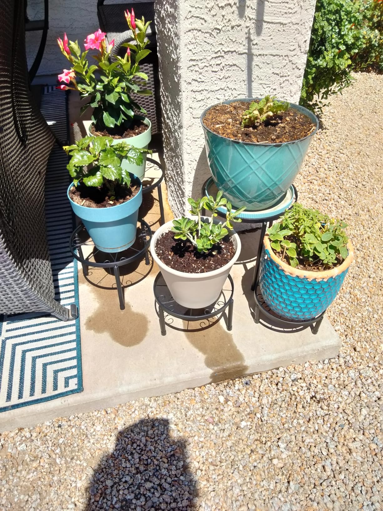 Linpla 5-Pack Decent Metal Plant Stands, Heavy Duty Flower Pot Stands for Multiple Plant, Anti-Rust Iron Plant Pot Shelf, Decoration Racks for Home Indoor and Outdoor customer photo 2