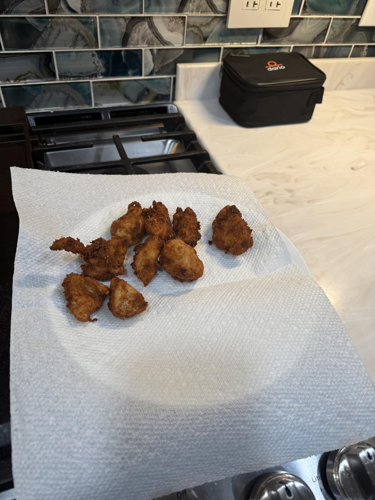 Deep Fryer Pot (°F), 11