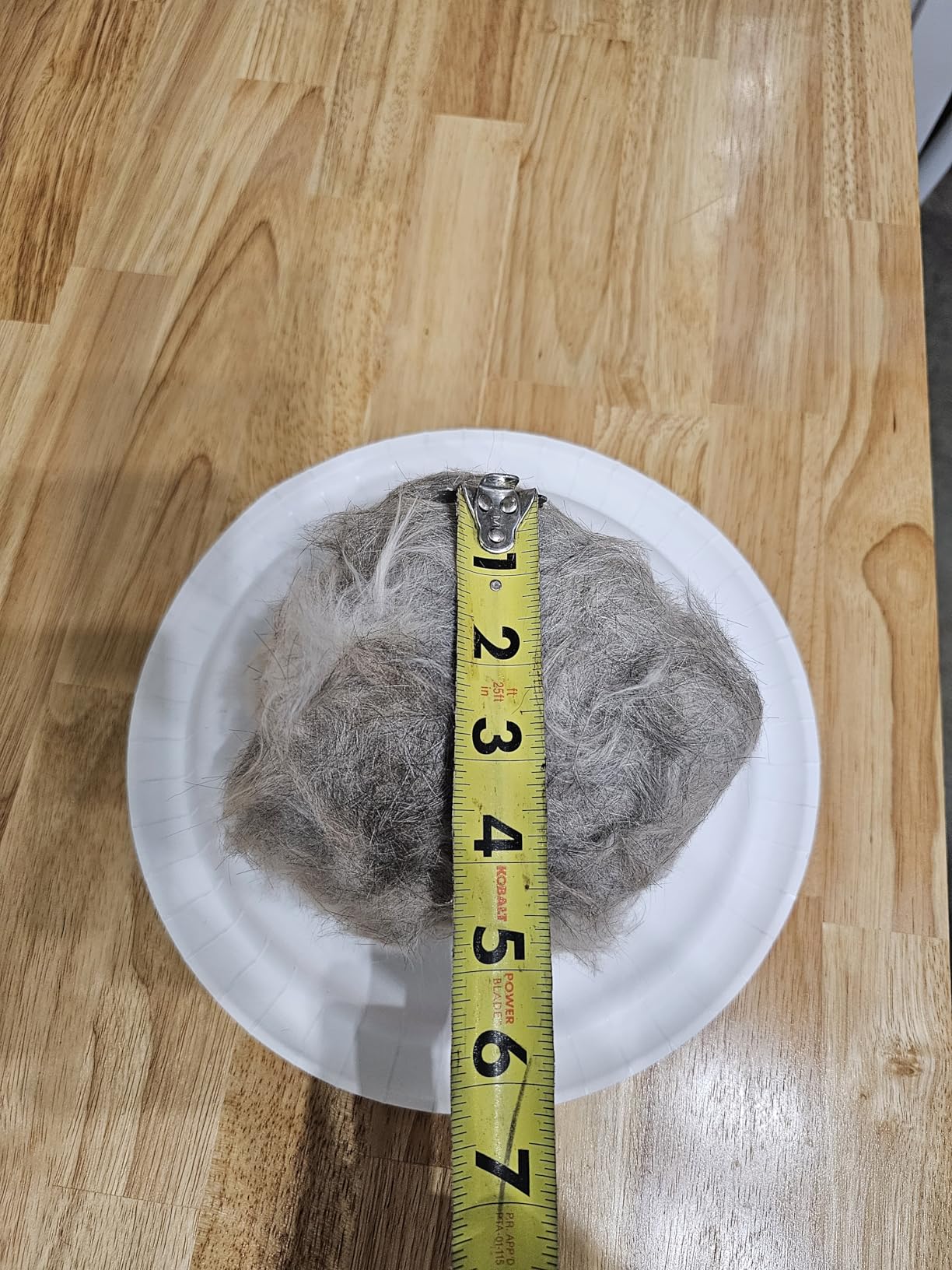 AIRROBO Dog Grooming Vacuum Kit, 12000Pa Strong Pet Vacuum for Shedding, Grooming Hair, Quiet, PG100, 2L Large Capacity customer photo 2