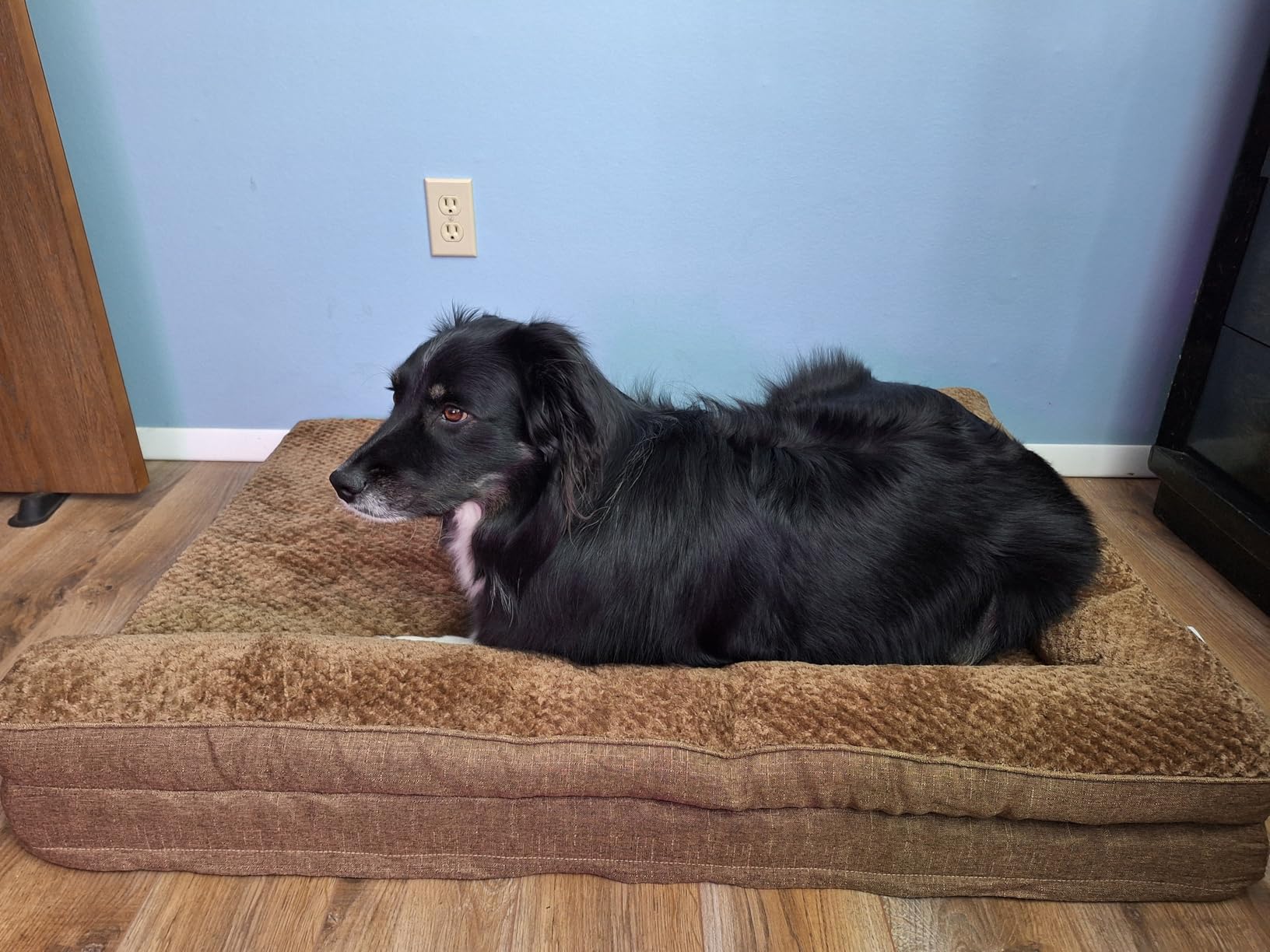 EHEYCIGA Orthopedic Dog Bed Medium Size Dogs, Memory Foam Dog Bed with Washable Removable Cover, Waterproof Pet Sofa Couch for Crate with Nonskid Bottom, 30x20x6, Grey customer photo 1