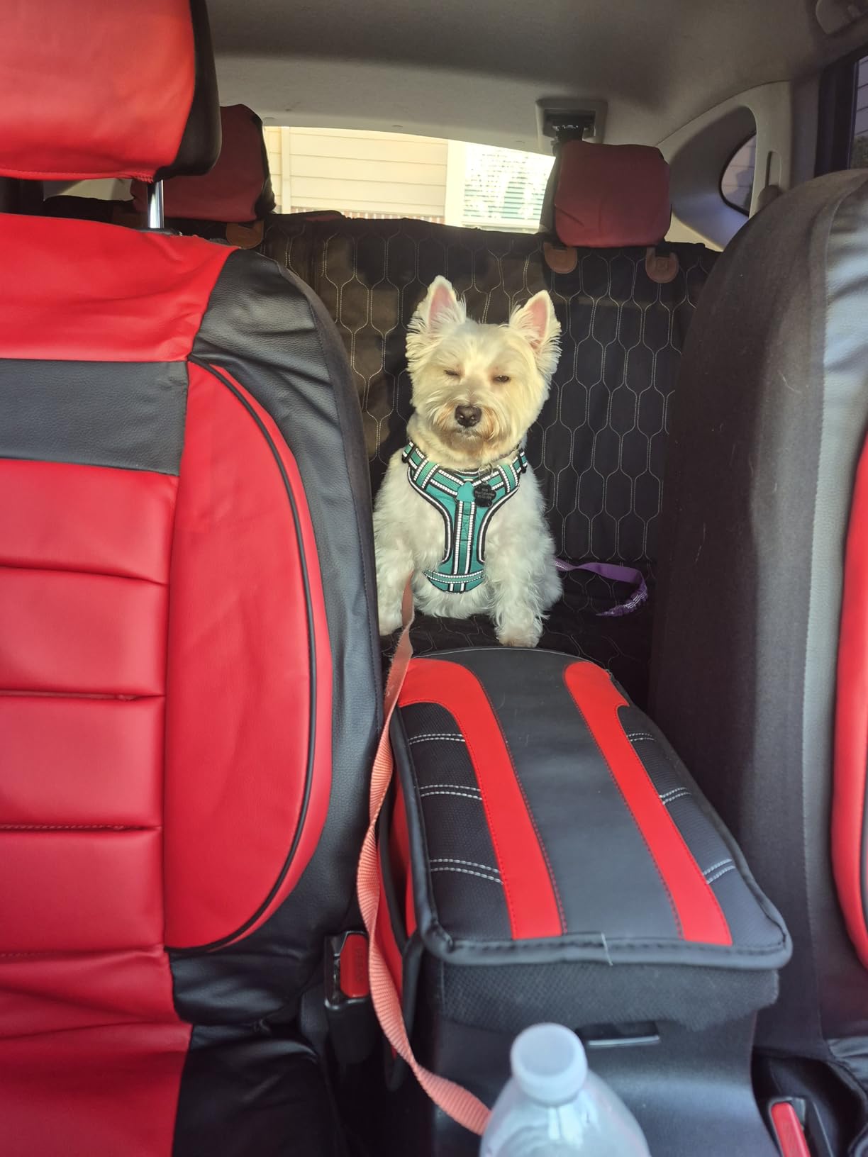 CAR PASS Faux Leather Car Seat Covers Front Seats Only, 3D Foam Support Car Seat Covers, Universal fit for Trucks Vans SUVs Sedans Automotive Comfortable, Airbag Compatible 2 Pieces Front Solid Black customer photo 2