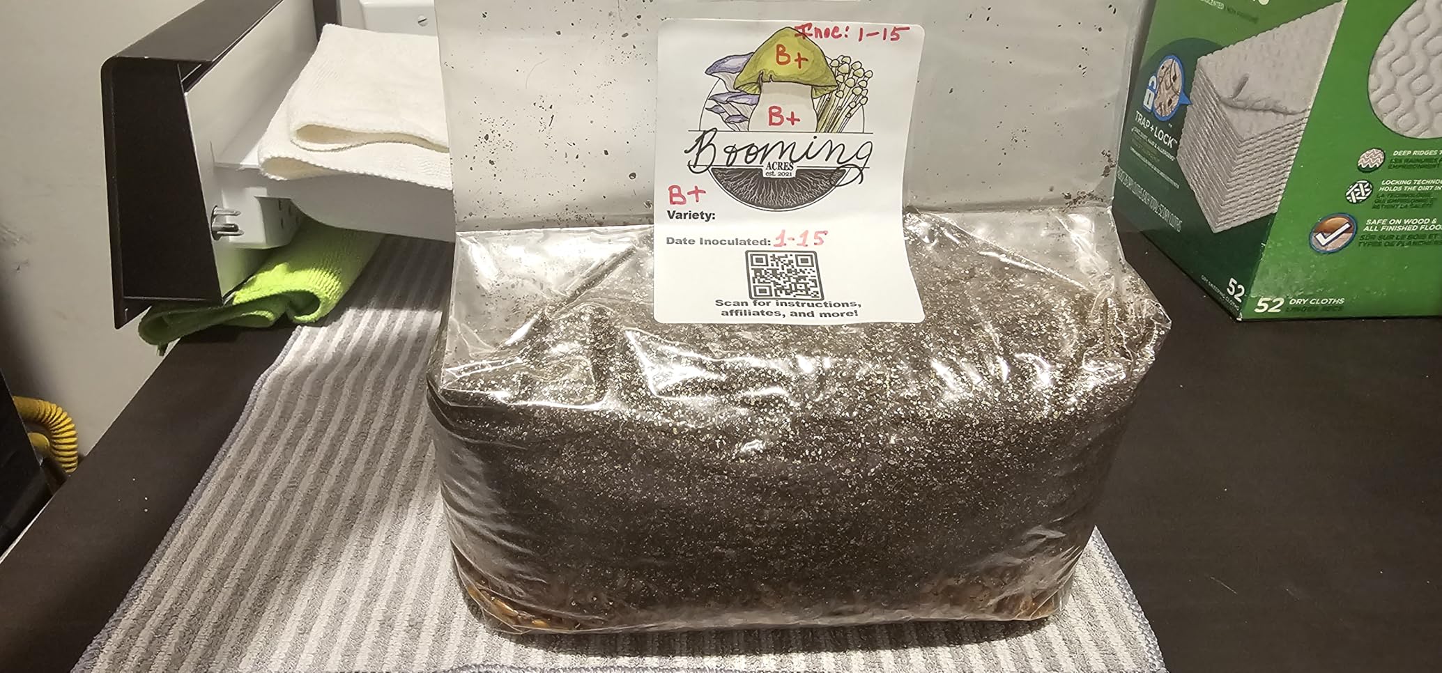 The Magical 5lb All-in-One Mushroom Grow Bag | Mushroom Grow Kit | Harvest Your own Happiness customer photo 1