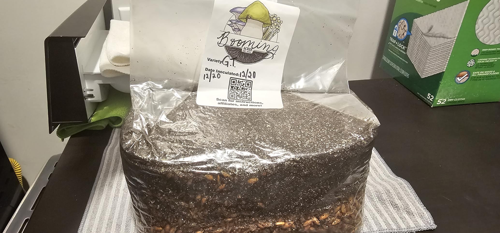 The Magical 5lb All-in-One Mushroom Grow Bag | Mushroom Grow Kit | Harvest Your own Happiness customer photo 2