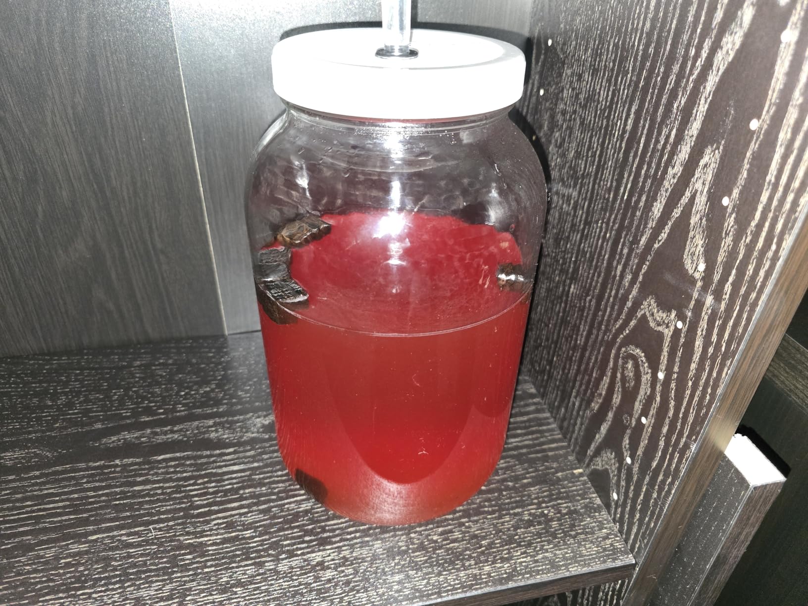 American Oak Cubes for Brewing - Medium Plus Toast - 1 lb - Perfect for Aging Wines, Spirits, Beer, and More! customer photo 1