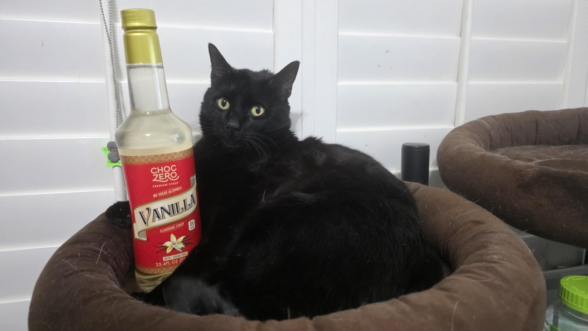 ChocZero Sugar Free Vanilla Syrup for Coffee, Keto Friendly, 25.4 Fluid Ounces customer photo 1