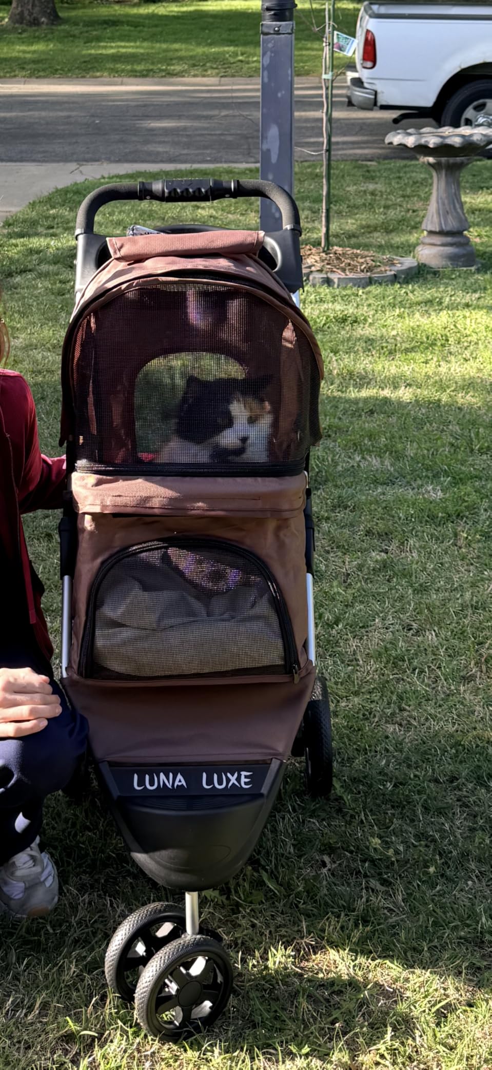 MoNiBloom Foldable Pet Stroller with Weather Cover, 3 Wheels Pet Strolling Cart for Small/Medium Dogs and Cats with Storage Basket and Cup Holder, Breathable and Visible Mesh for All-Season, Black customer photo 1