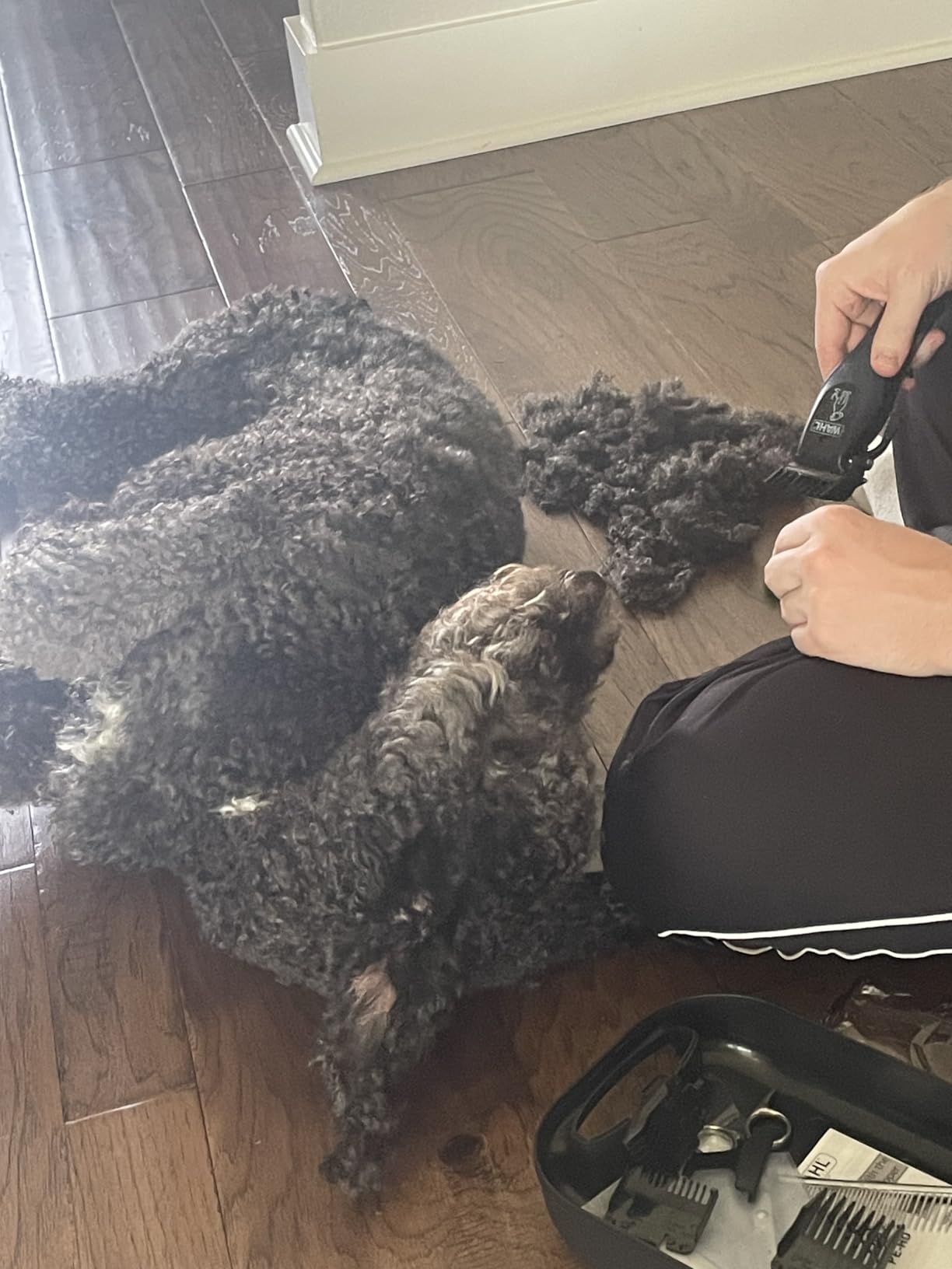 Wahl Power Pro Lithium Ion Rechargeable Cordless Dog Grooming Kit - Heavy Duty Cordless Electric Dog Clippers for Grooming The Thickest Coats - Model 3024675 customer photo 1
