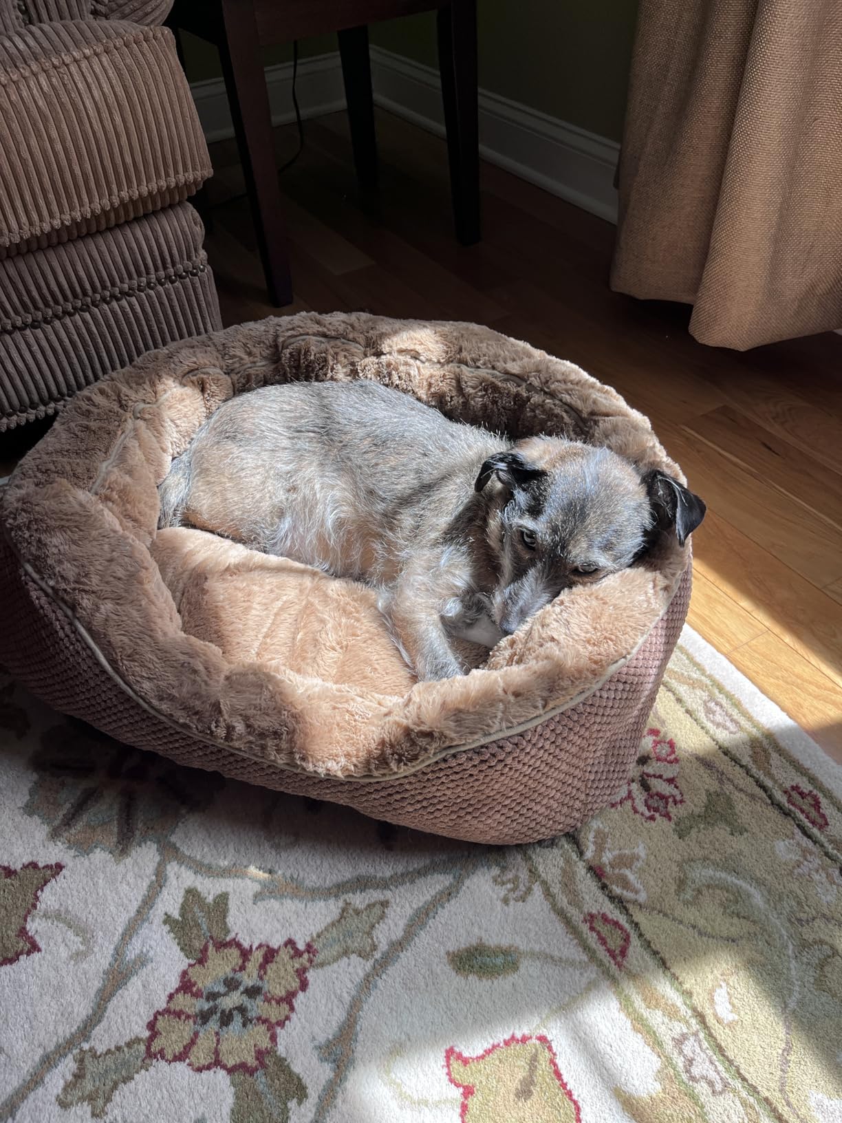 INVENHO Medium Dog Beds for Medium Dogs Washable, Rectangle Dog Bed Medium Size Dog, Orthopedic Dog Bed, Warming Soft Calming Sleeping Puppy Bed Durable Pet Bed with Anti-Slip Bottom M(30