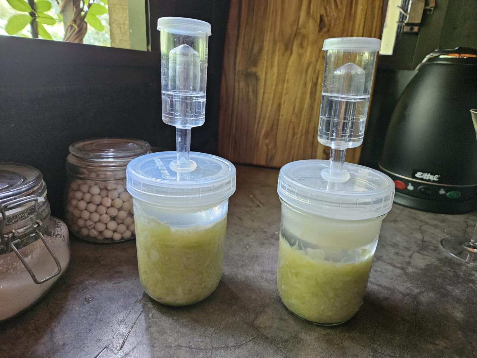 Year of Plenty Ferment Kit - 2 Fermenting Mason Jars, 2 Fermentation Weights & 2 Fermenting Lids customer photo 1