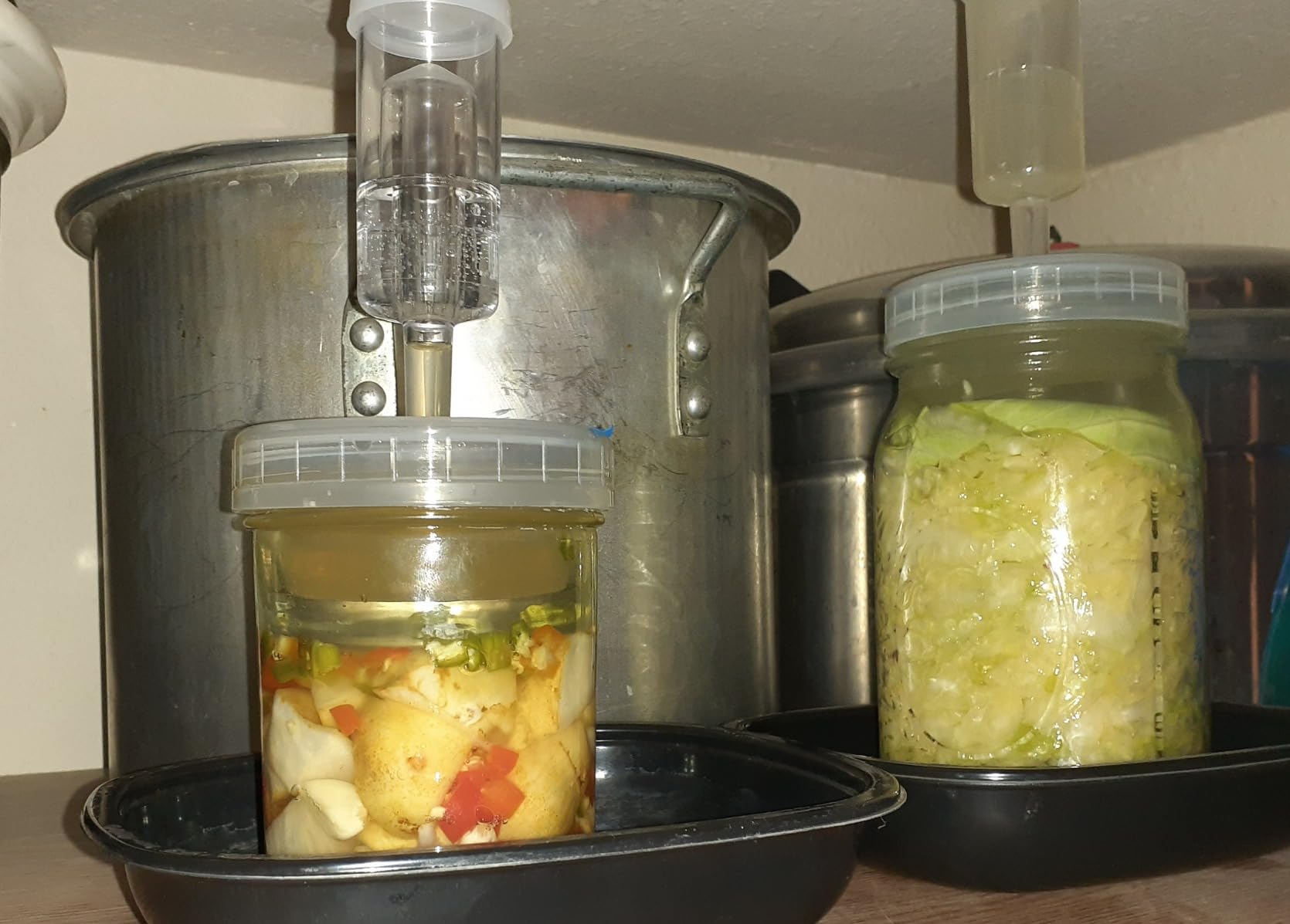 Year of Plenty Ferment Kit - 2 Fermenting Mason Jars, 2 Fermentation Weights & 2 Fermenting Lids customer photo 2