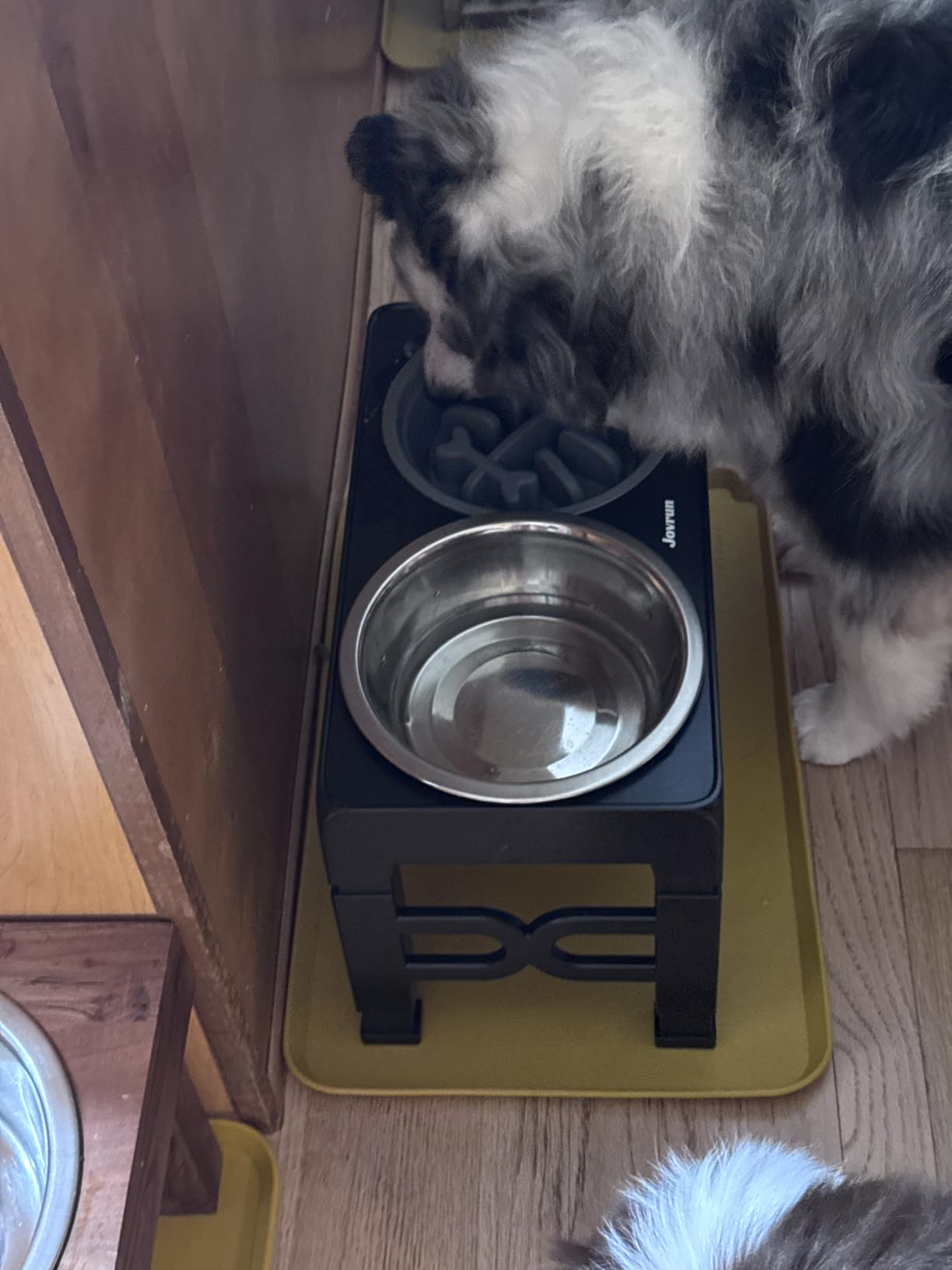 Jovrun Elevated Dog Bowls for Medium Large Size Dogs, Non-Slip Dog Feeder with 1*Stainless Steel Dishes & 1*Slow Feeder Bowl, 5 Heights Adjustable Raised Bowls to 3.15-8.66-9.84-11.02-12.2 customer photo 1