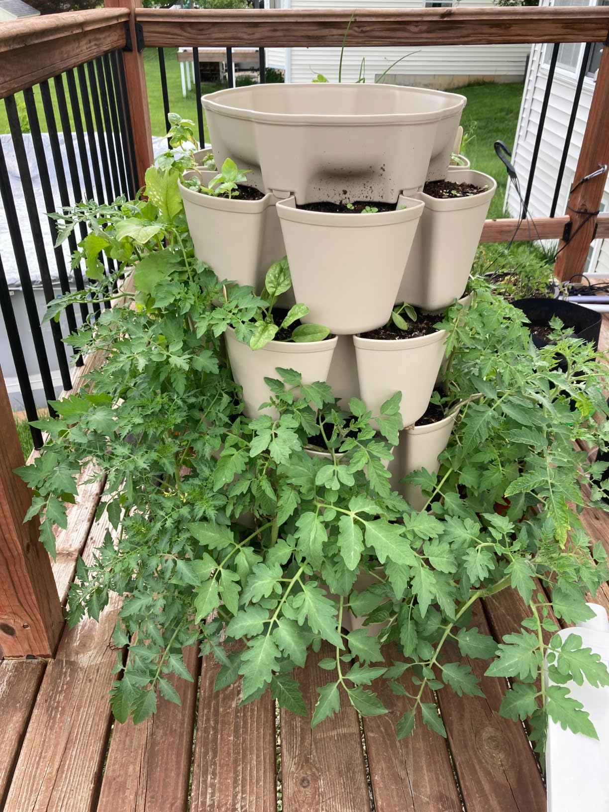 Greenstalk Patented Large 5 Tier Vertical Garden Planter with Patented Internal Watering System Great for Growing a Variety of Strawberries, Vegetables, Herbs, & Flowers (Evergreen) customer photo 2
