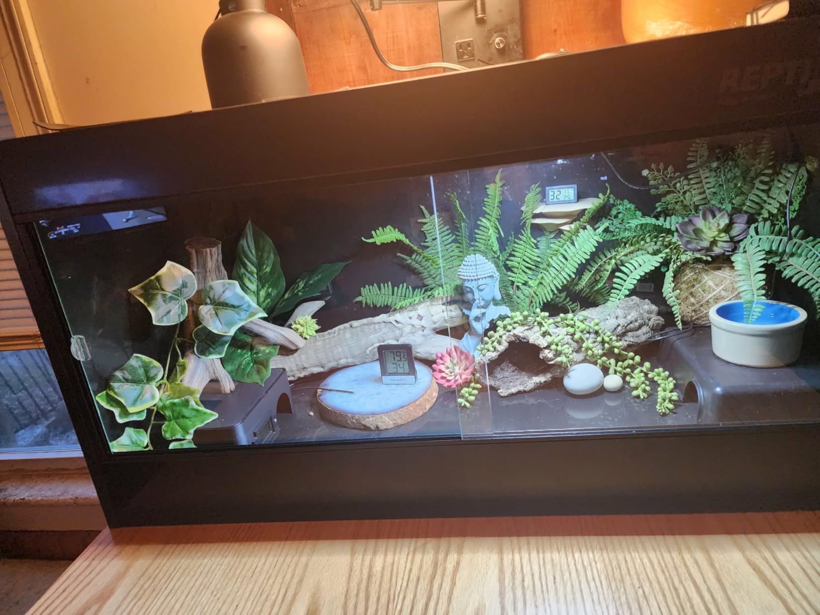 REPTI ZOO 50 Gallon PVC Reptile Enclosure, 36x18x18 inch Reptile Tank for Ball Python Bearded Dragon Snake Gecko with Glass Sliding Door & Top Screen Ventilation customer photo 1