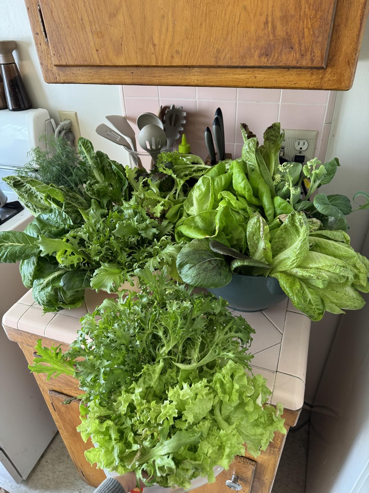 Lettuce Grow Farmstand Nook 4ft.7in Vertical Hydroponic Garden Tower - Self-Watering, Vertical Hydroponic Tower with LED Grow Lights, 20 Live Seedlings, Smart Timer - Indoor Vertical Growing Tower customer photo 2