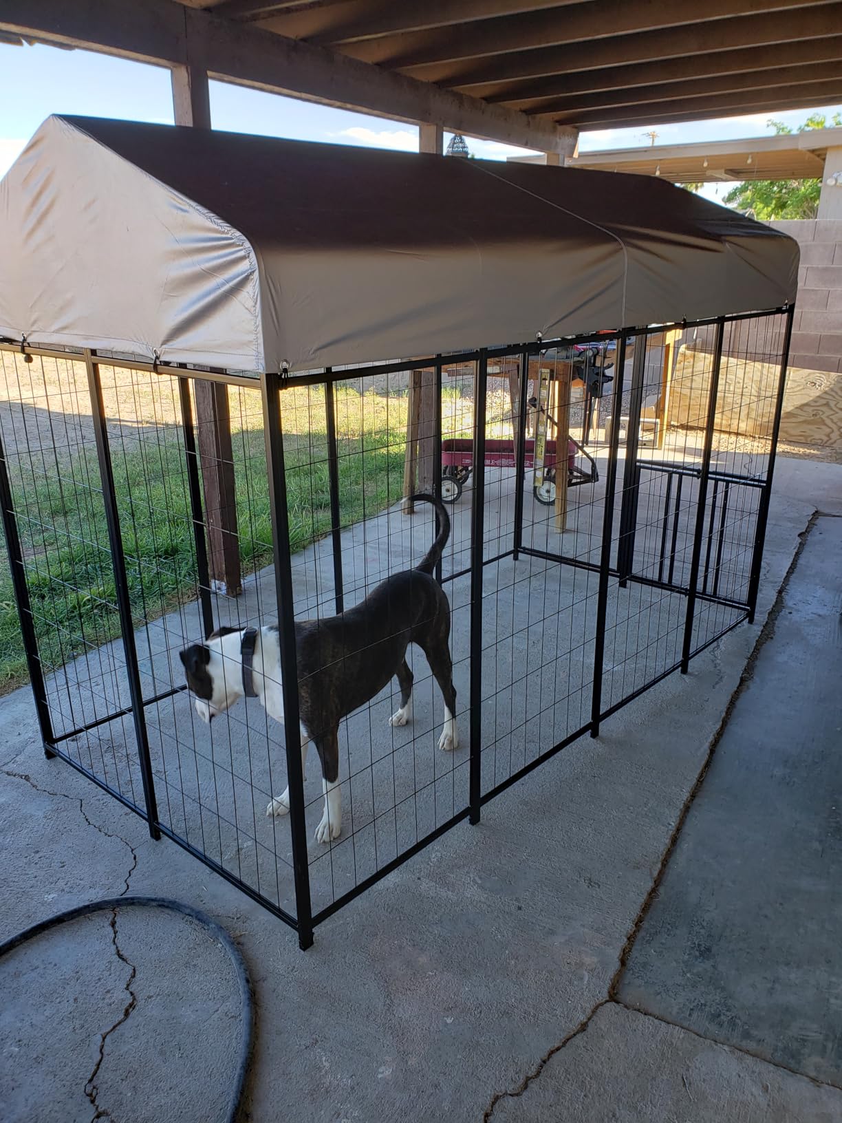 ROOMTEC Heavy Duty Outdoor Dog Kennel with Rotating Bowls, 8 x 4 x 5.6-ft customer photo 2