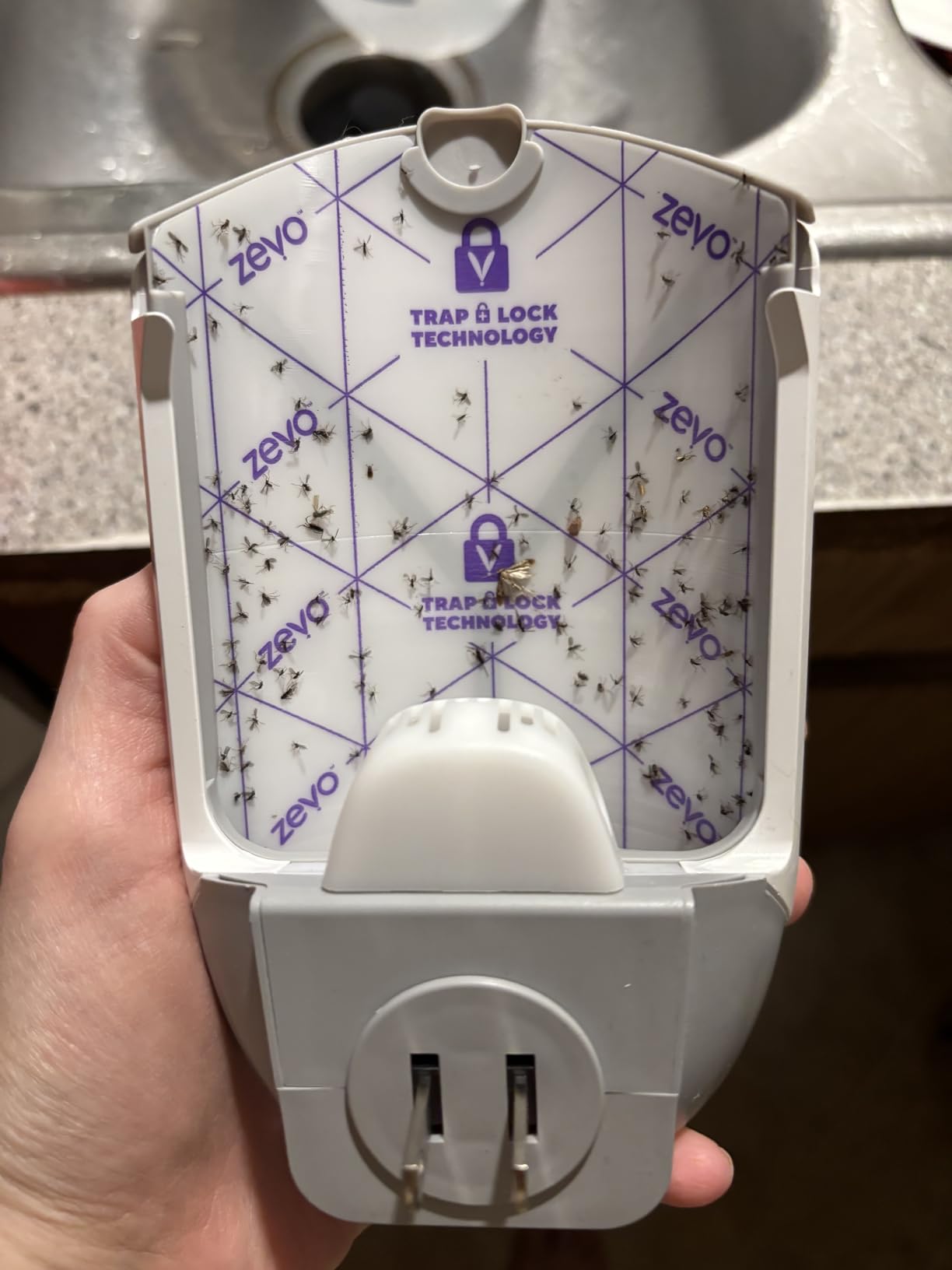 Zevo Flying Insect Trap & 3 Refill Cartridges - Plug in Fly Trap & Indoor Bug Catcher for Gnats, House & Fruit Flies - Blue & UV Light Technology, Mess-Free Alternative to Bug Zapper customer photo 2