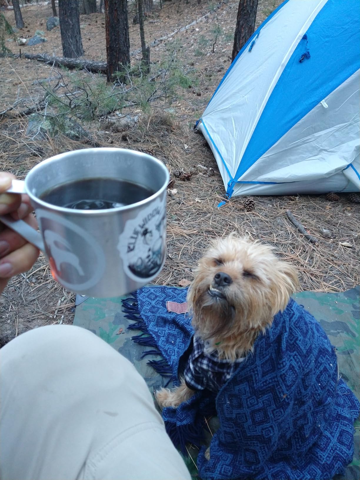 Collapsible Paperless Pour Over Coffee Dripper, Single Cup Travel Pour Over Coffee Maker Camping, Portable Silicone PourOver Coffee Filter with Reusable Metal Mesh Filter (Blue) customer photo 1