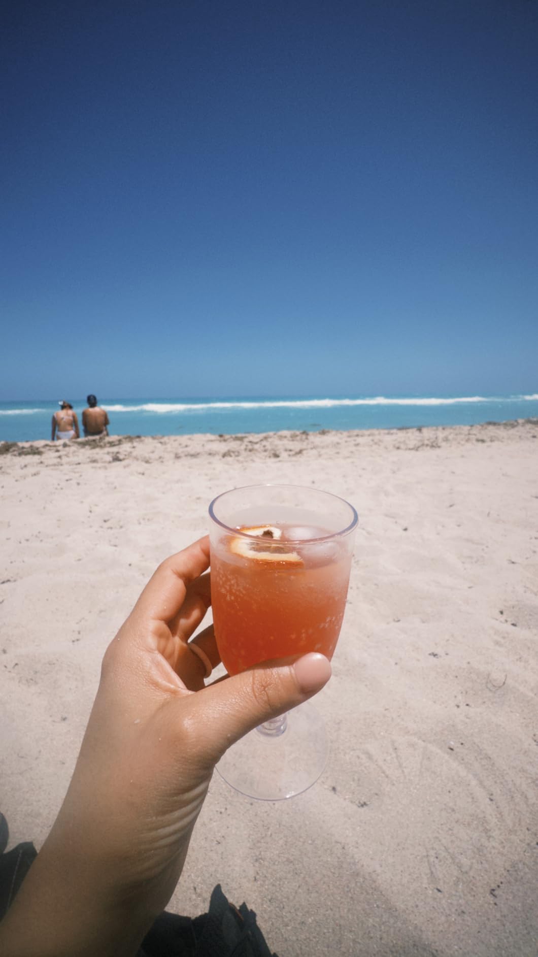 Wilfred's Alcohol-Free Bittersweet Aperitif (0.0%) | Orange, Rosemary & Rhubarb | Non-Alcoholic Spritz Aperitivo | Natural | Gluten-Free | Vegan Friendly | No Alcohol Spirit | 16.9 fl oz, 500ml Bottle customer photo 1