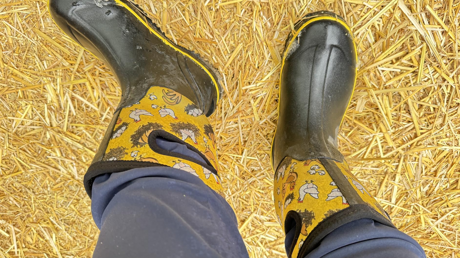 Rubber Boots for Women, Mid Calf Rain Boots, Womens Waterproof Boots, Neoprene Insulated Outdoor Work Mud Boots for Hunting Farming Gardening Fishing, Size 5-11 customer photo 1