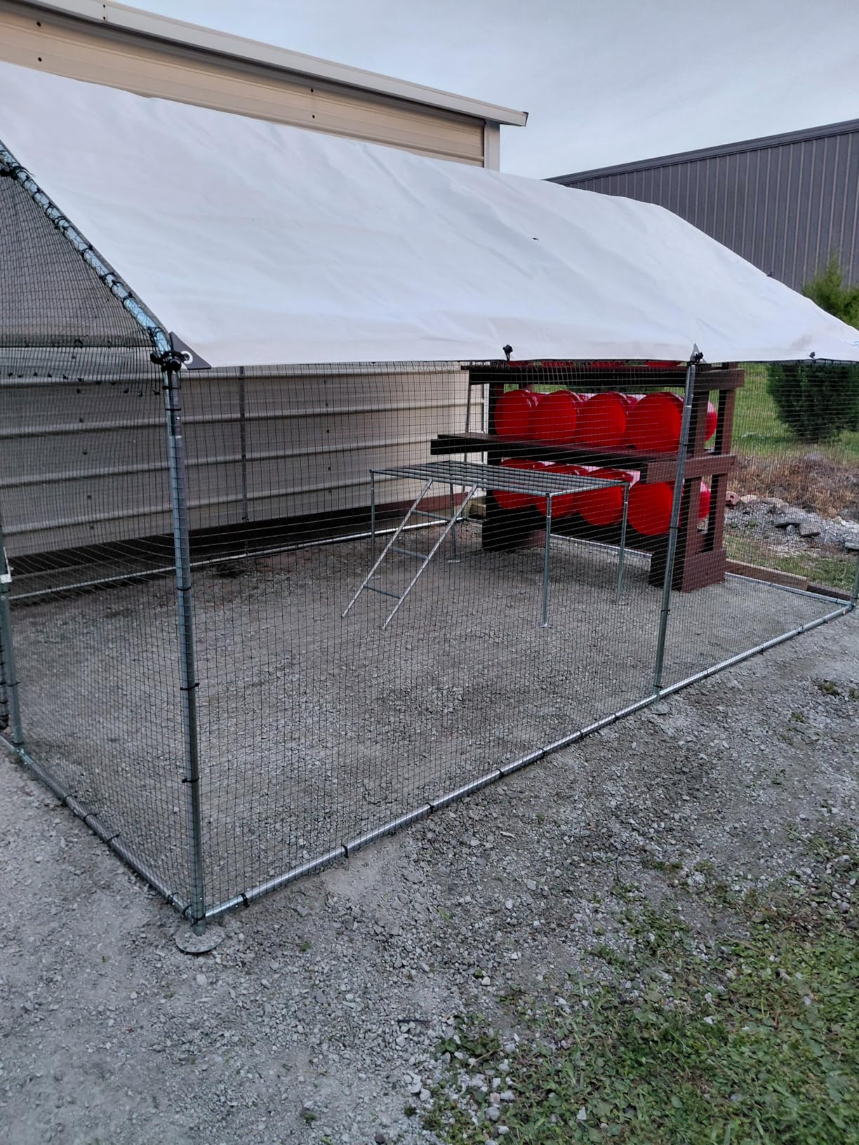 Quictent Large Metal Chicken Coop Run for 30+ Poultry with Side Hardware Cloth & Waterproof Cover, Advanced Series Outdoor Walk-in Cage Hen Duck Rabbit Dog Pen Yard Farm House, 18x9x6.6FT customer photo 1