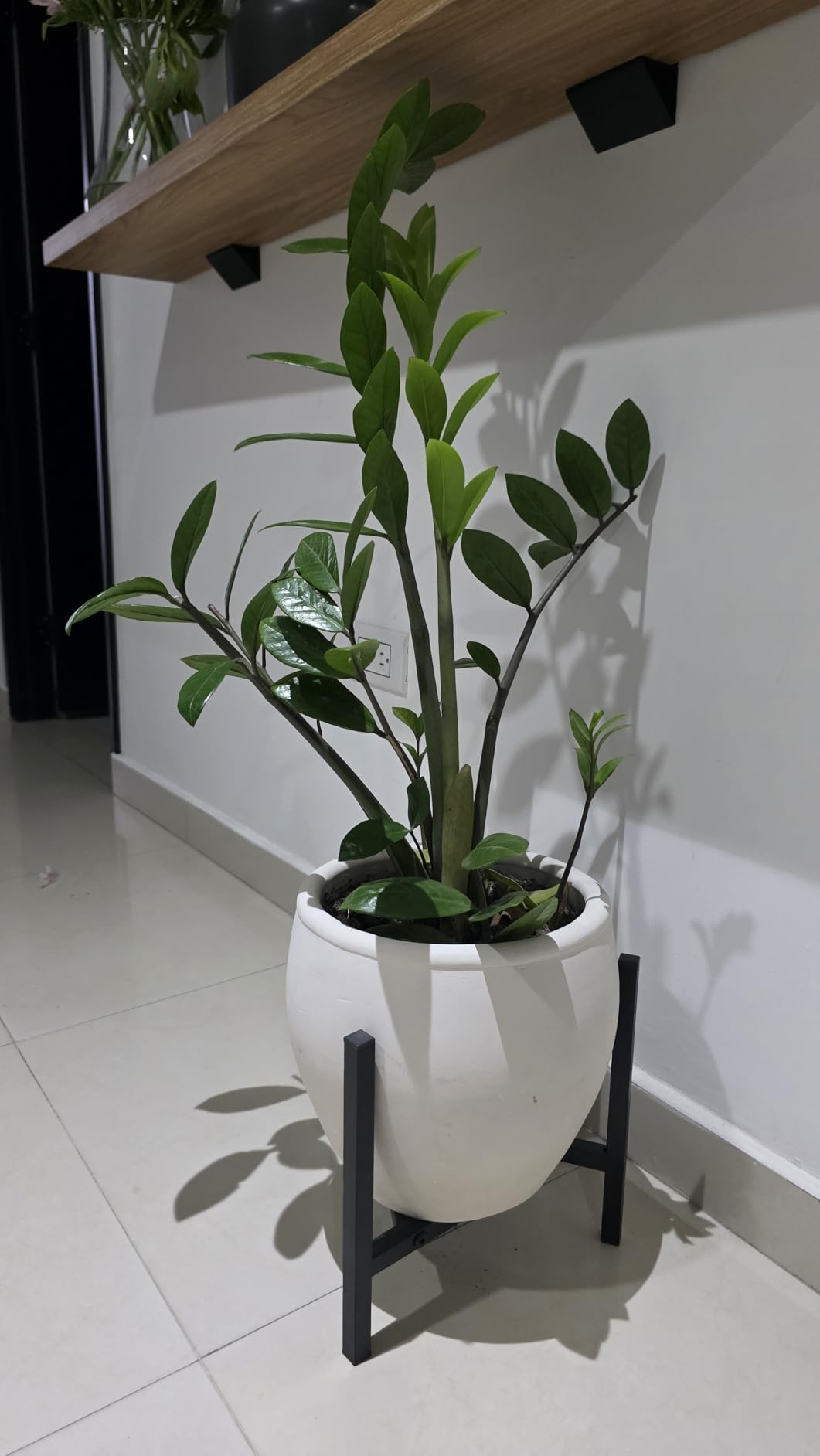 Airpark Plant Stand Indoor Adjustable, Metal Modern Plant Stands, Heavy Duty Stable Plant Pot Flower Holder Indoor Outdoor Corner, Fit 8 9 10 11 12 inch Pots customer photo 1