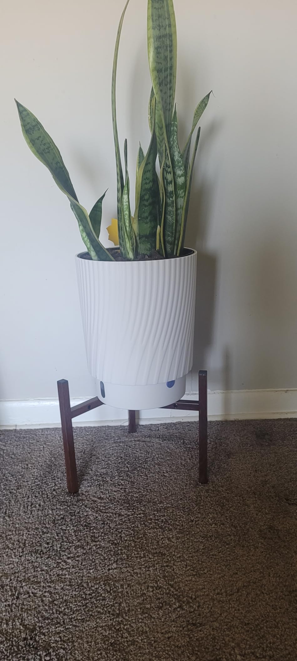Airpark Plant Stand Indoor Adjustable, Metal Modern Plant Stands, Heavy Duty Stable Plant Pot Flower Holder Indoor Outdoor Corner, Fit 8 9 10 11 12 inch Pots customer photo 2