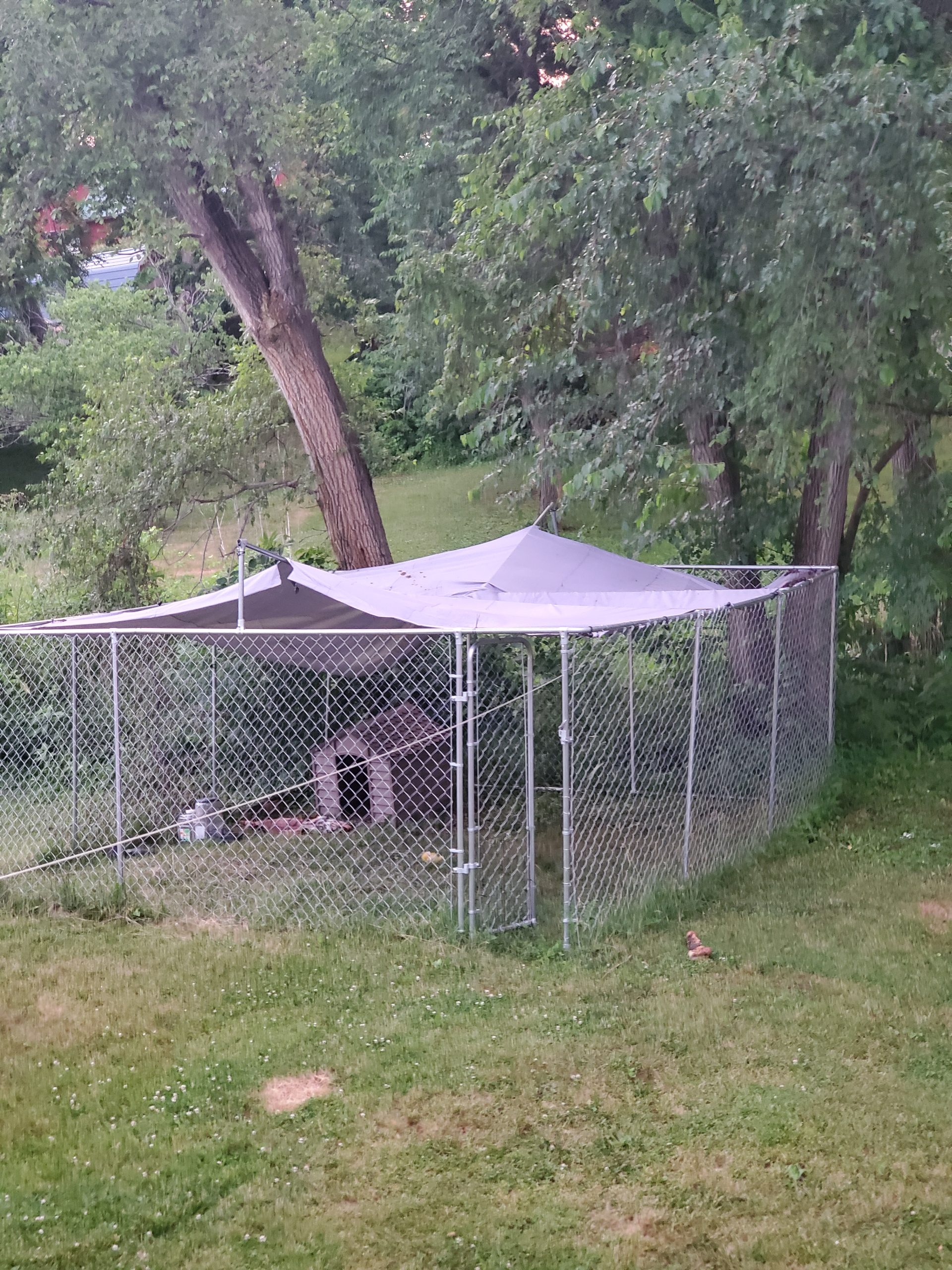 PawHut Outdoor Dog Kennel, Heavy Duty Dog Run Outdoor Fence with Waterproof Cover, Galvanized Chain Link, Secure Lock, for Large Breeds, Chickens, Ducks, 6.5' x 6.5' x 5' customer photo 2