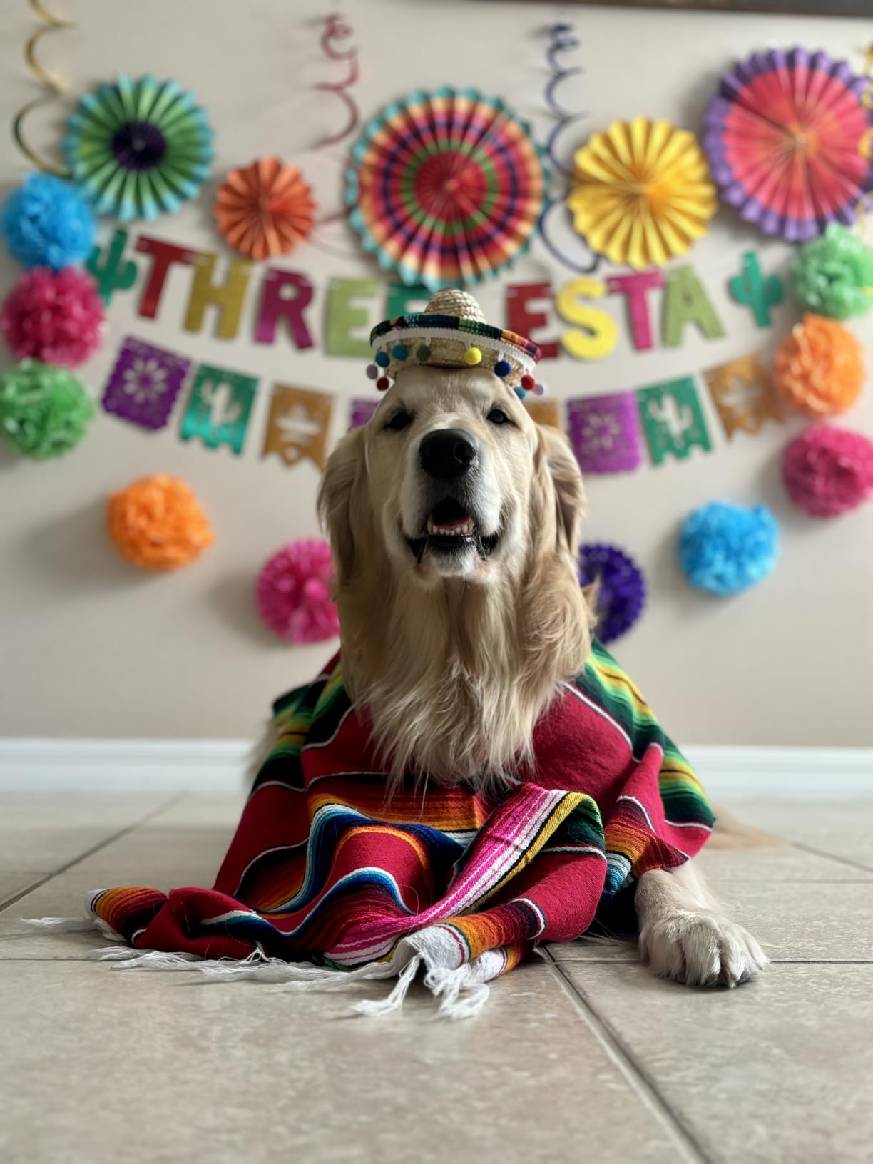 32Pcs Cinco De Mayo Decorations Fiesta Party Decorations Multi-Color Paper Fans Garlands Pennant Pom Poms Hanging Swirls for Birthday Wedding Rainbow Mexican Party customer photo 2