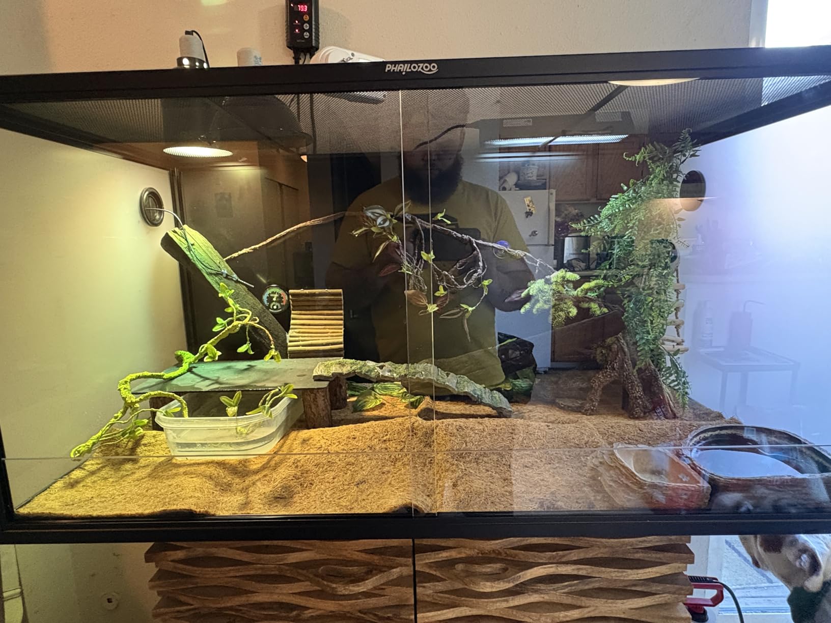 Phailozoo 120 Gallon Bearded Dragon Tank, 48