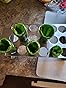 2Pcs Jalapeno Poppers Rack for Grill with Pepper Corer Tool, 18 Holes Poppin Popper holder jalapeños Vooker Pepper Grilling Rack, Stainless Steel Chili Roasting Rack BBQ Pepper Holder customer photo 1