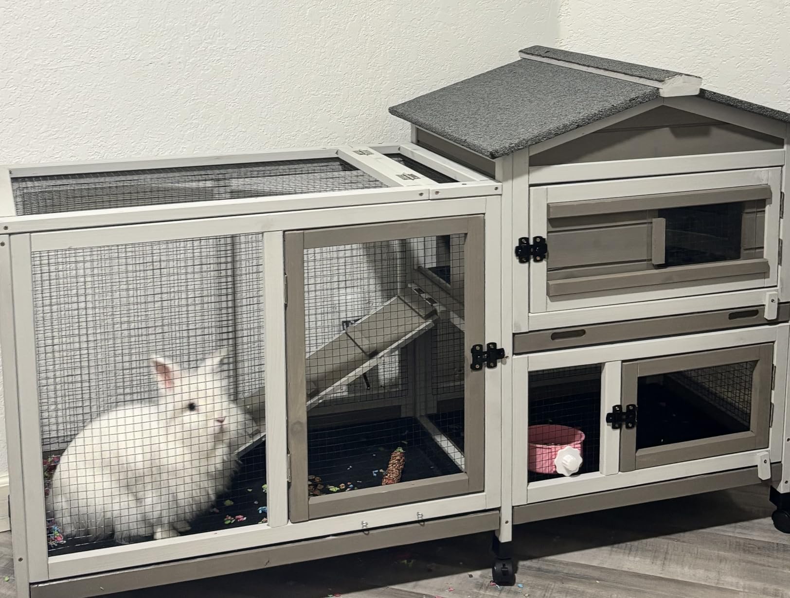 PetsCosset 114