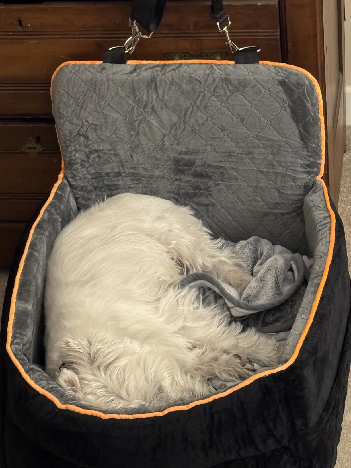 Small Dog Car Seat, Memory Foam Dog Booster Car Seats with Thick Cushion for Medium Dogs Under 35lbs, Detachable Washable Dog Bed for Car, Pet Carseat with Storage Pockets, 2 Safety Belts customer photo 1