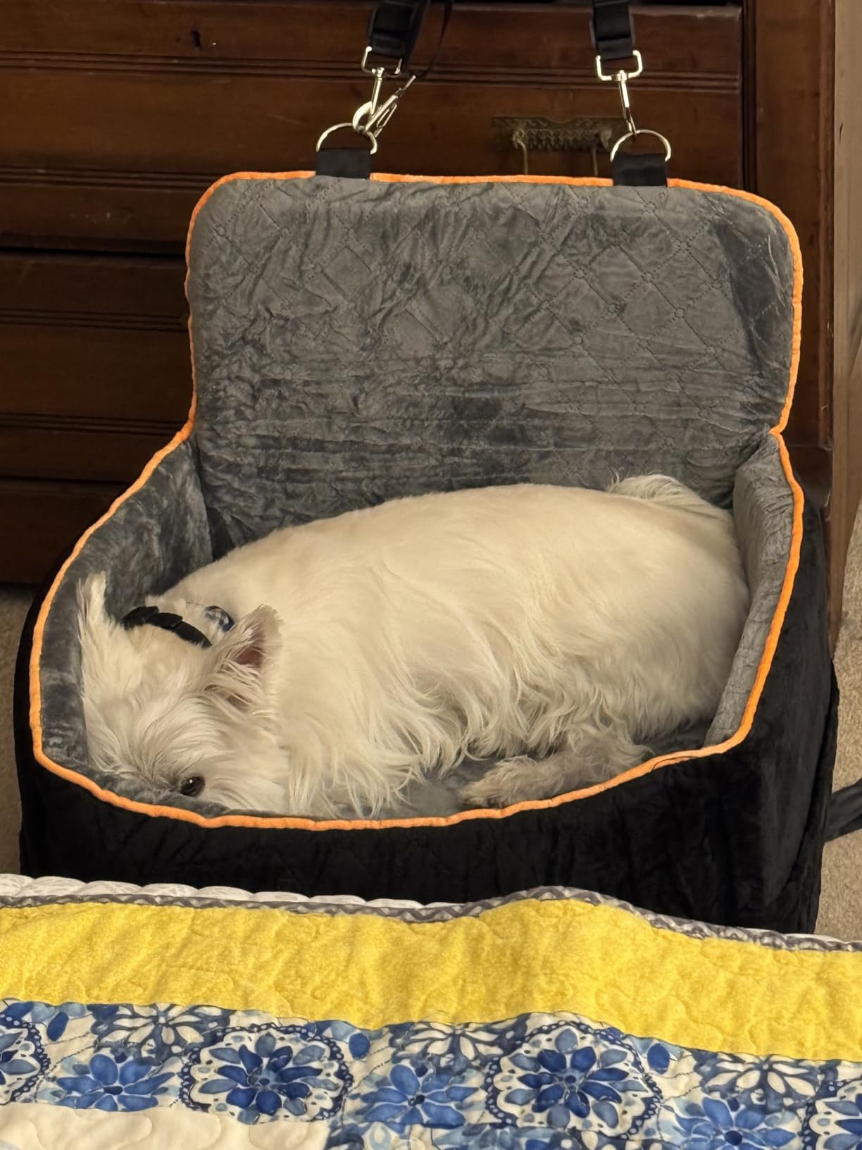 Small Dog Car Seat, Memory Foam Dog Booster Car Seats with Thick Cushion for Medium Dogs Under 35lbs, Detachable Washable Dog Bed for Car, Pet Carseat with Storage Pockets, 2 Safety Belts customer photo 2