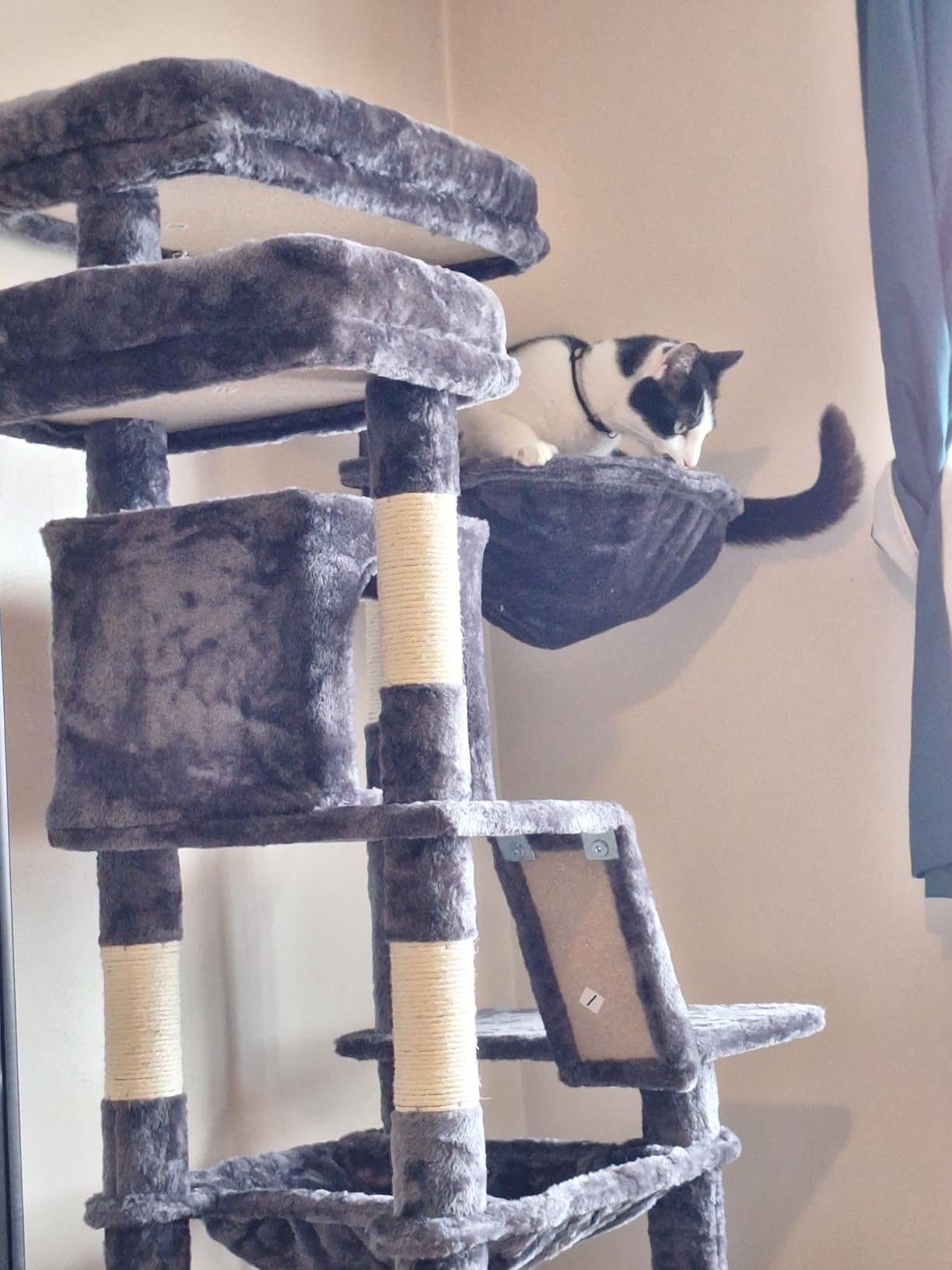 Heybly Cat Tree, 71-Inch-Tall Tower for Indoor Cats with 2 Perches, 2 Big Condos, 2 Hammocks, Basket, Scratching Pad, Smoky Gray customer photo 1