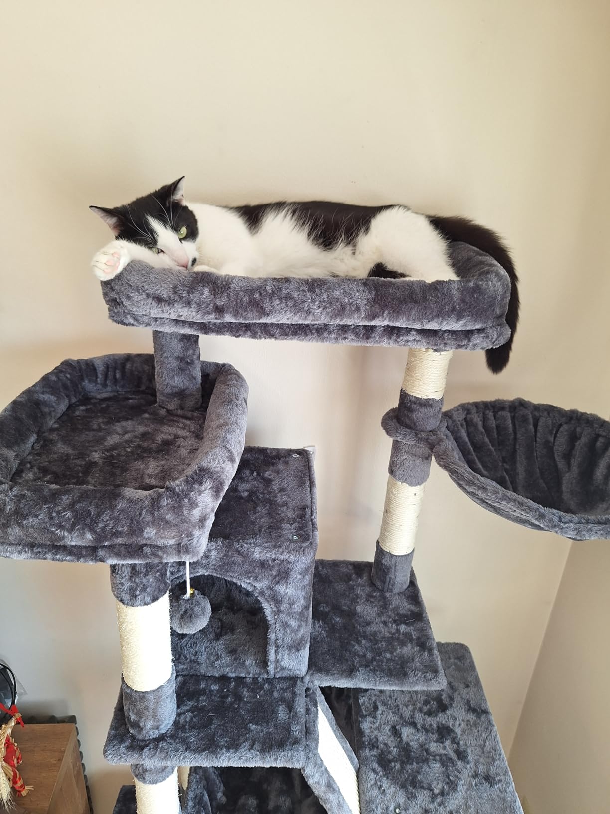 Heybly Cat Tree, 71-Inch-Tall Tower for Indoor Cats with 2 Perches, 2 Big Condos, 2 Hammocks, Basket, Scratching Pad, Smoky Gray customer photo 2