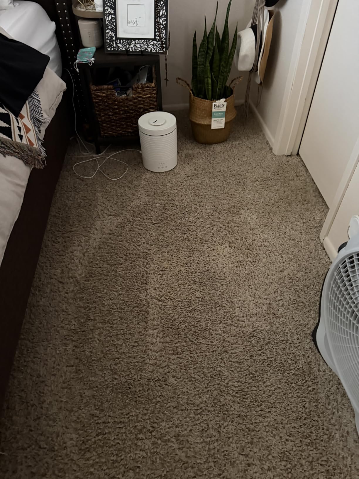 Vacmaster SCB301 400 Series Portable Carpet & Upholstery Spot Cleaner Machine, 15Kpa Power Suction with Versatile Tools for Pets, Area Rugs and Couches customer photo 2