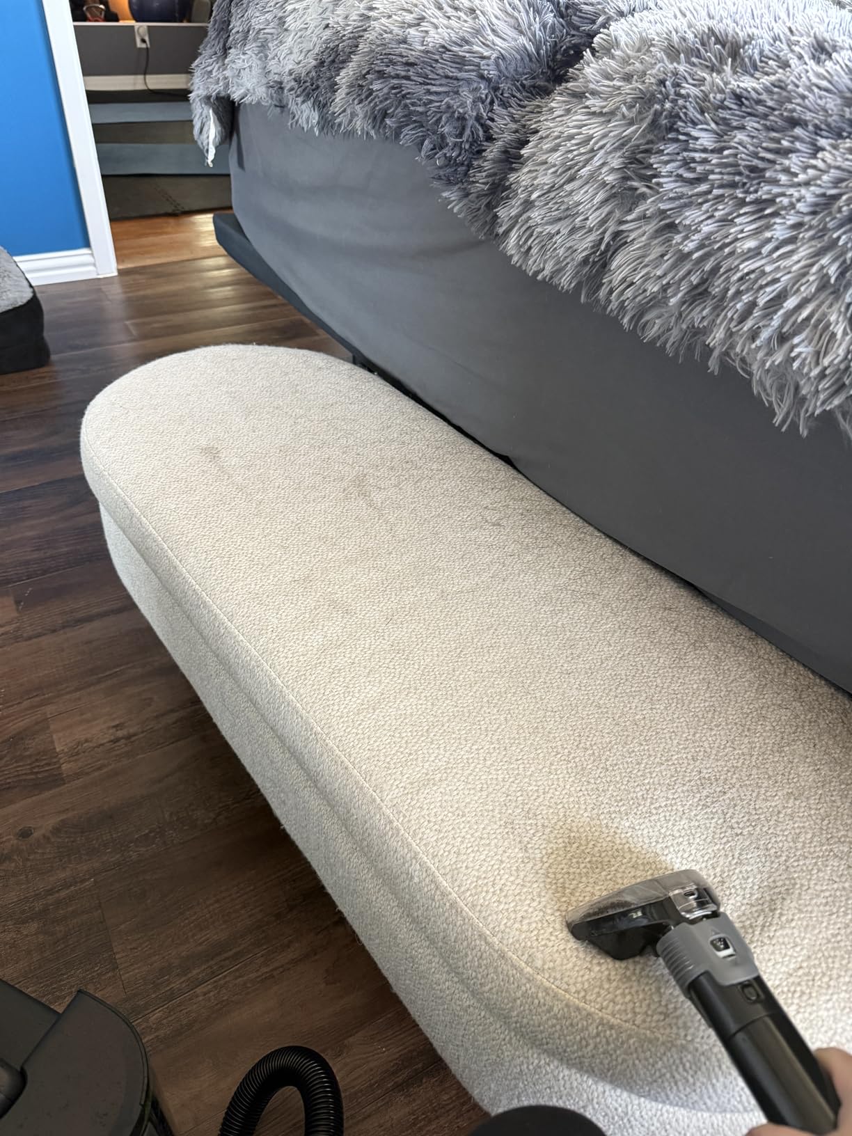 BISSELL Little Green Max Pet SmartMix Portable Carpet and Upholstery Deep Cleaner, Car/Auto Detailer, with SmartMix Technology, Self-Cleaning Tough Stain Tool and Pet Hair Removal Tool, 38572 customer photo 1