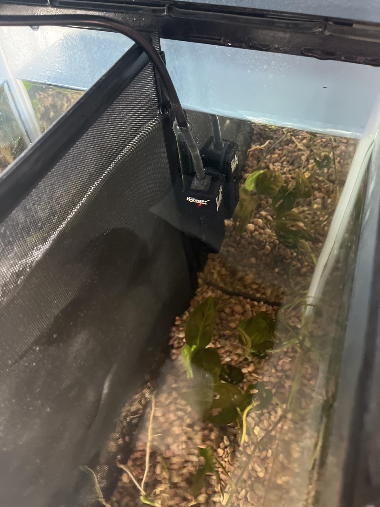 hygger Mini Fish Tank Submersible Heater 50W for 5-10 Gallons Small Betta Aquarium Heater with Digital Display Controller Adjustable Temperature customer photo 2