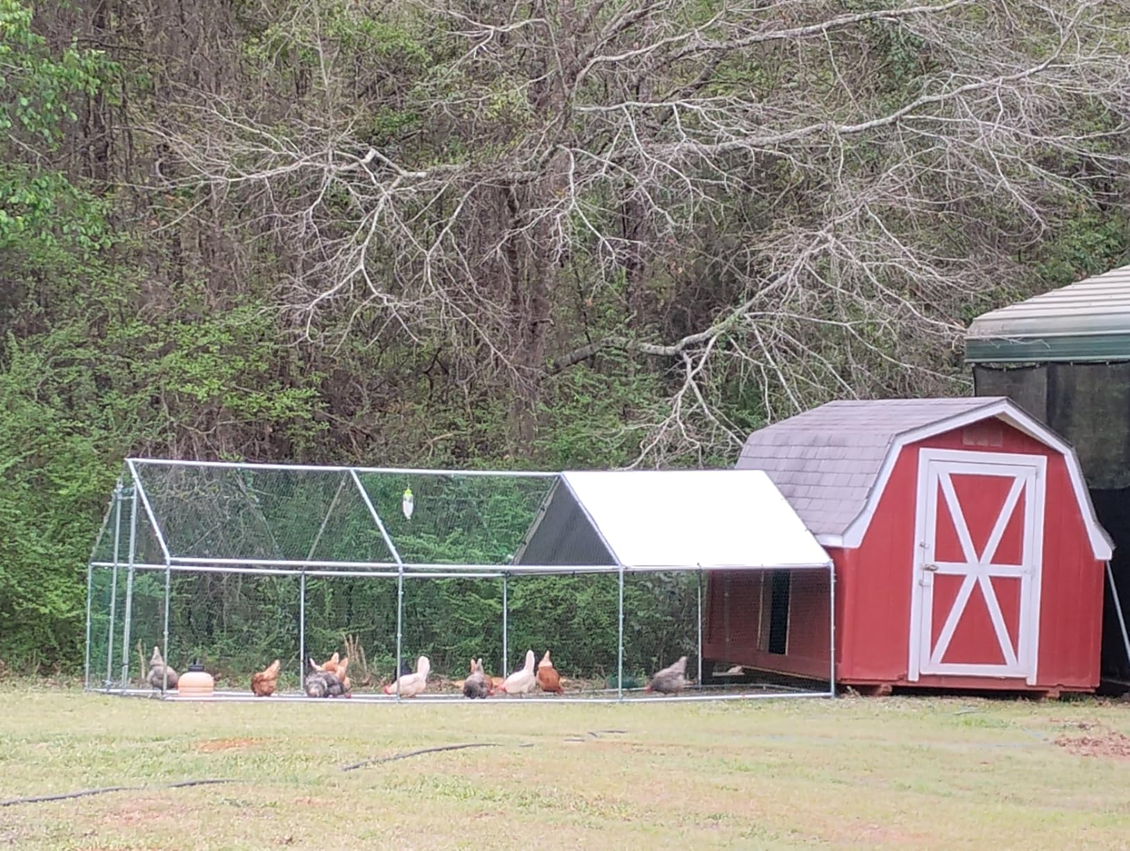 VEVOR Large Metal Chicken Coop, 19.7x9.8x6.5ft Walk-in Chicken Runs for Yard with Cover, Spire Roof Hen House with Security Lock customer photo 2