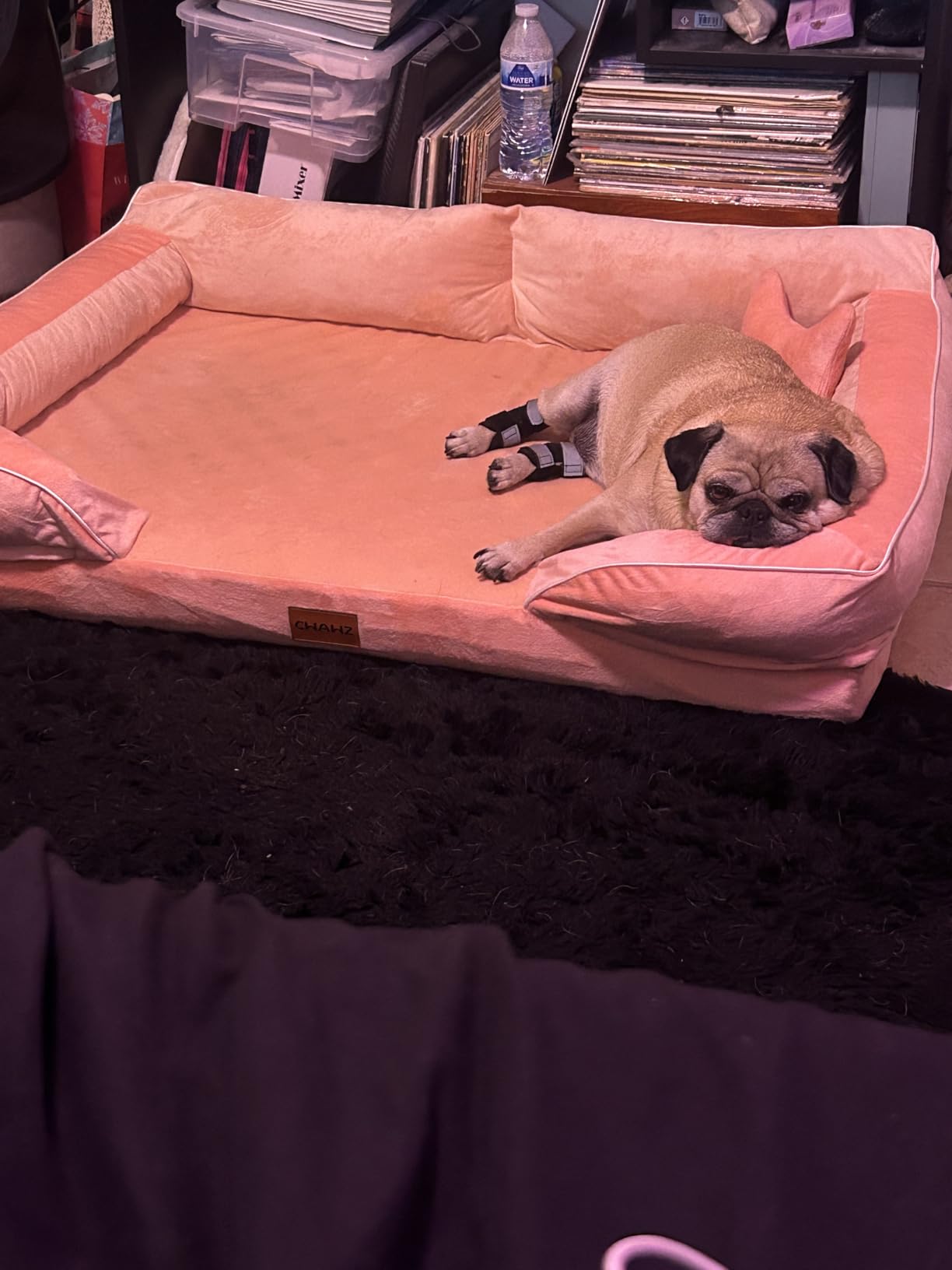 CWAWZ Extra Large Dog Bed, Orthopedic Dog Bed with Cooling Gel Memory Foam, Waterproof XL Pet Bed with Removable Washable Cover, 42