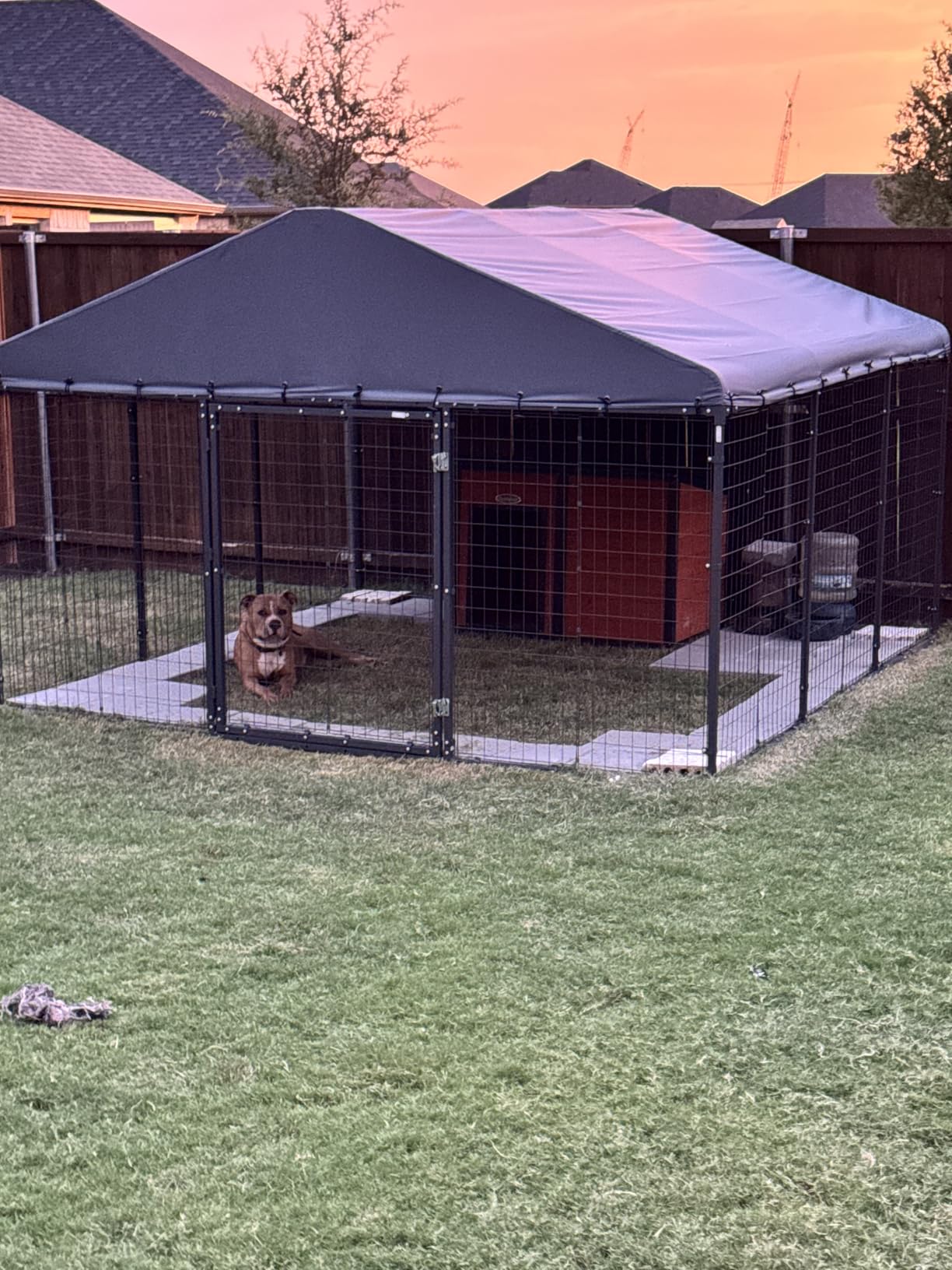 Gotland Dog Kennel Outdoor 10 x10 x6 FT, Dog Cage Outdoor for Medium/Large Dogs with Waterproof Roof Double Secure Locks Ground Spikes, All Weather Heavy Duty Dog Enclosure for Backyard Farm Ranch customer photo 1