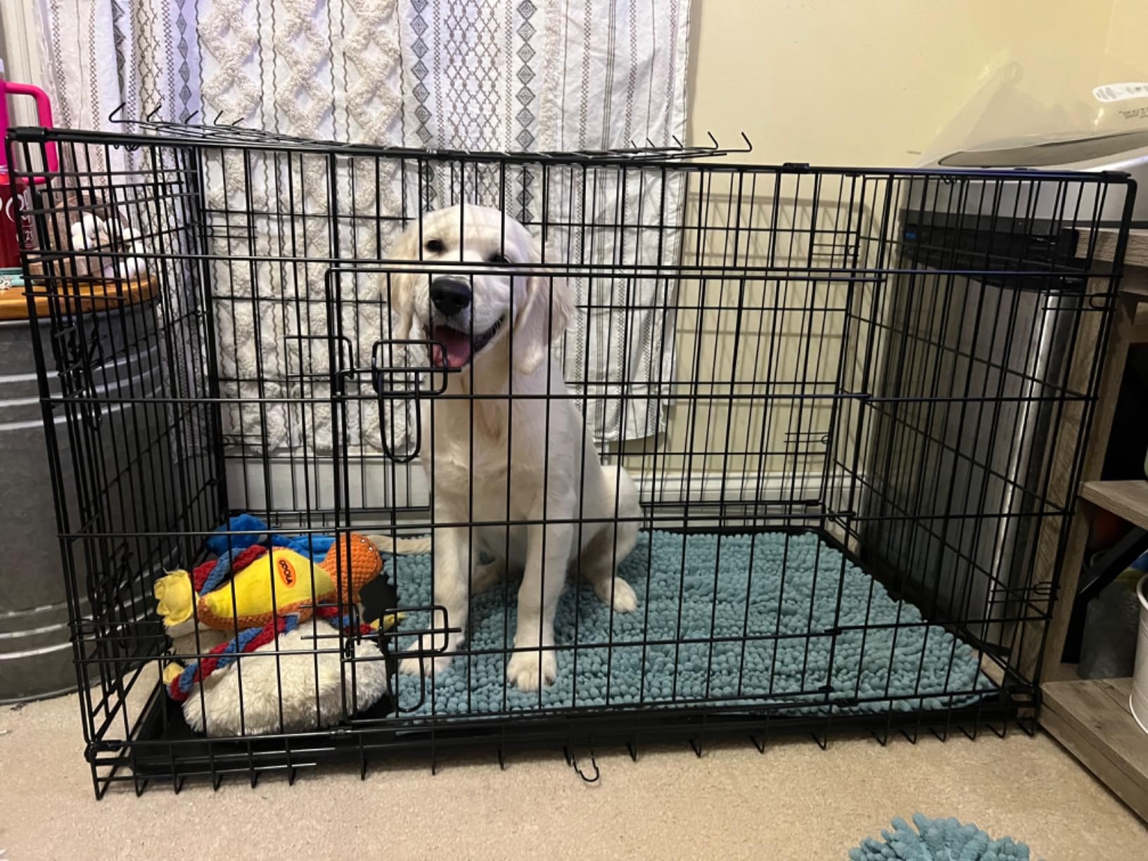 Yaheetech 42 inch Double Door Dog Crate w/Divider for Puppy to Adult XL Collapsible Metal Crate with Removable Tray Wire Dog Kennel for Large Dogs customer photo 2