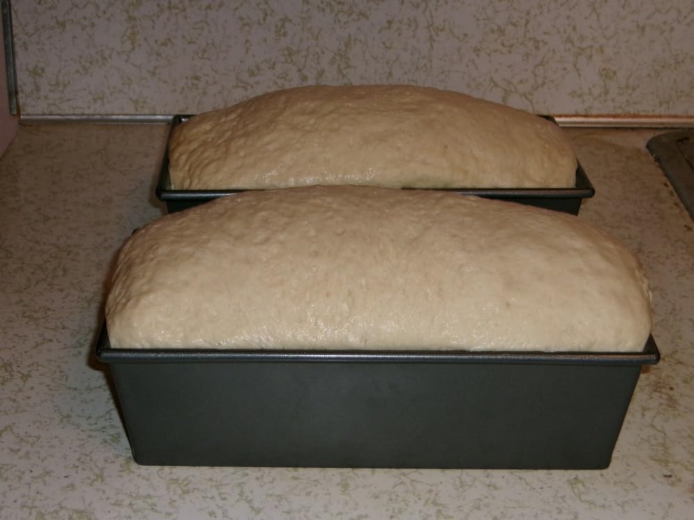 Versatile Dough Proofer Warming Box Adjustable Temperature Timer Control Bread Proofing Box Collapsible Design Sourdough Proofing Container for Making Bread customer photo 1