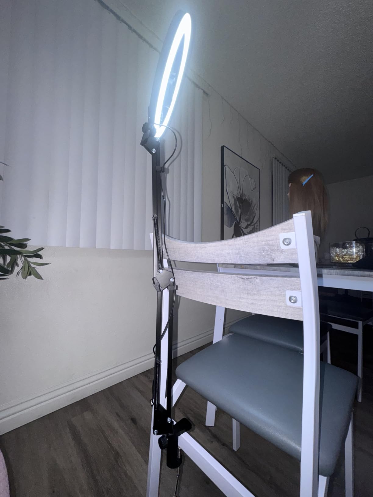 InnoGear Overhead Phone Mount with Ring Light, 10